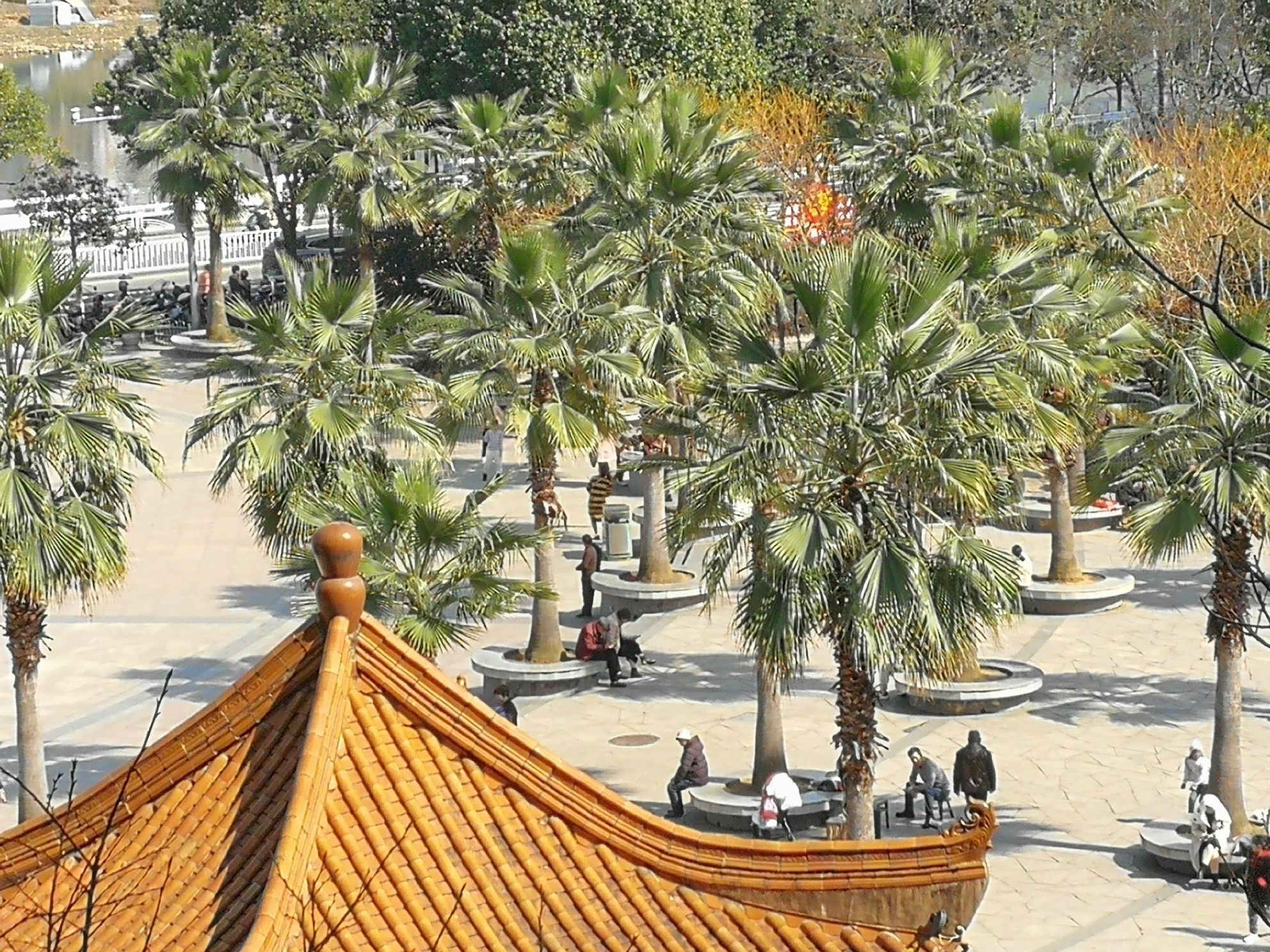 潭山公园旅行图片 1