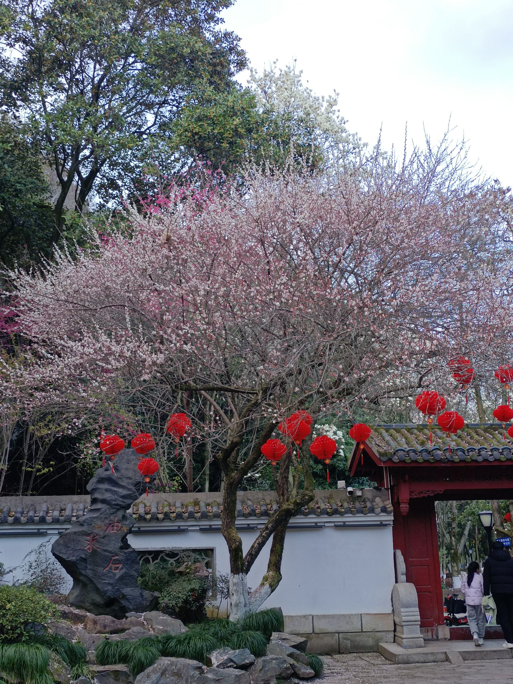 熙春园旅行图片 1