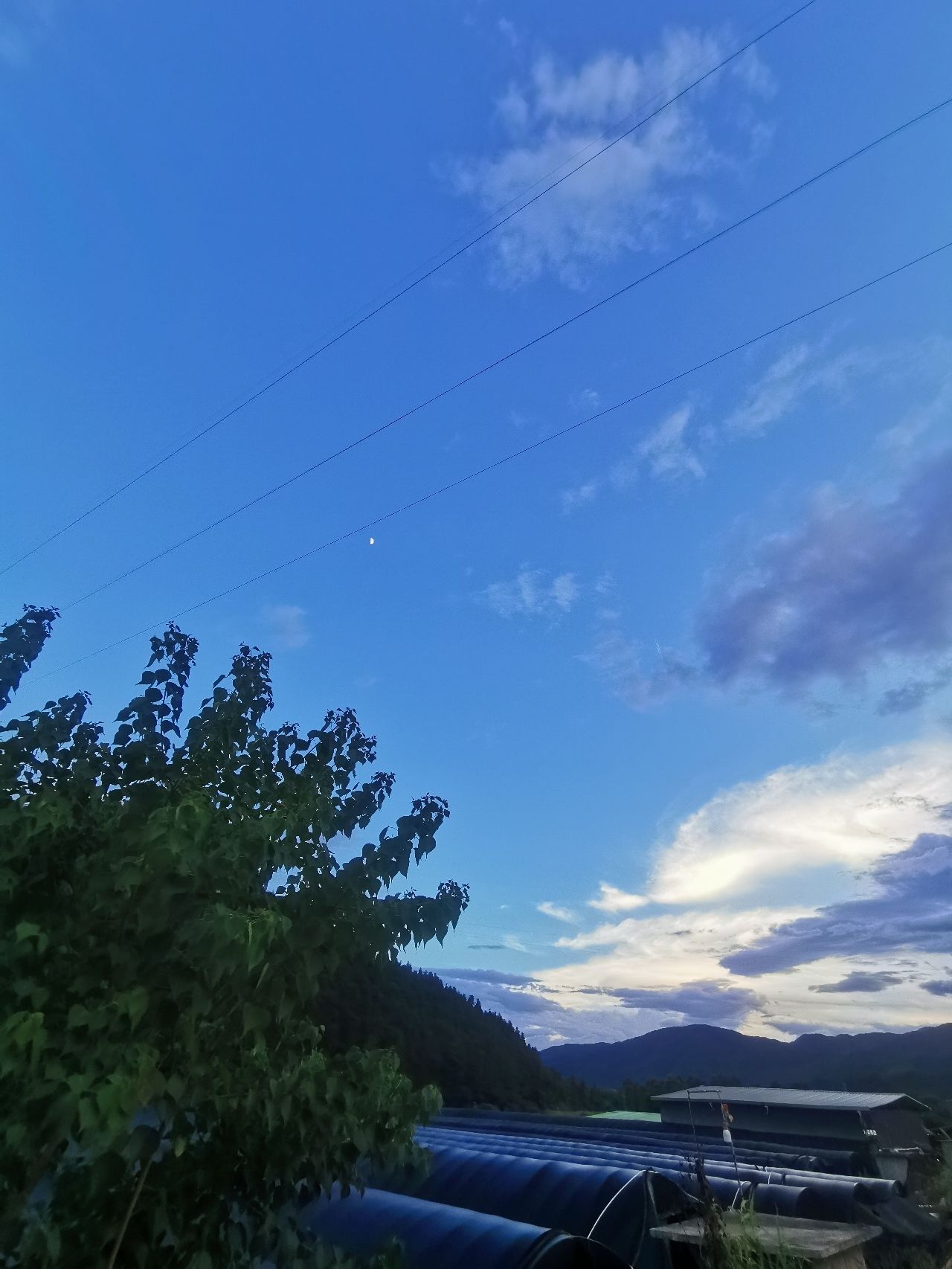 熙春园旅行图片 3