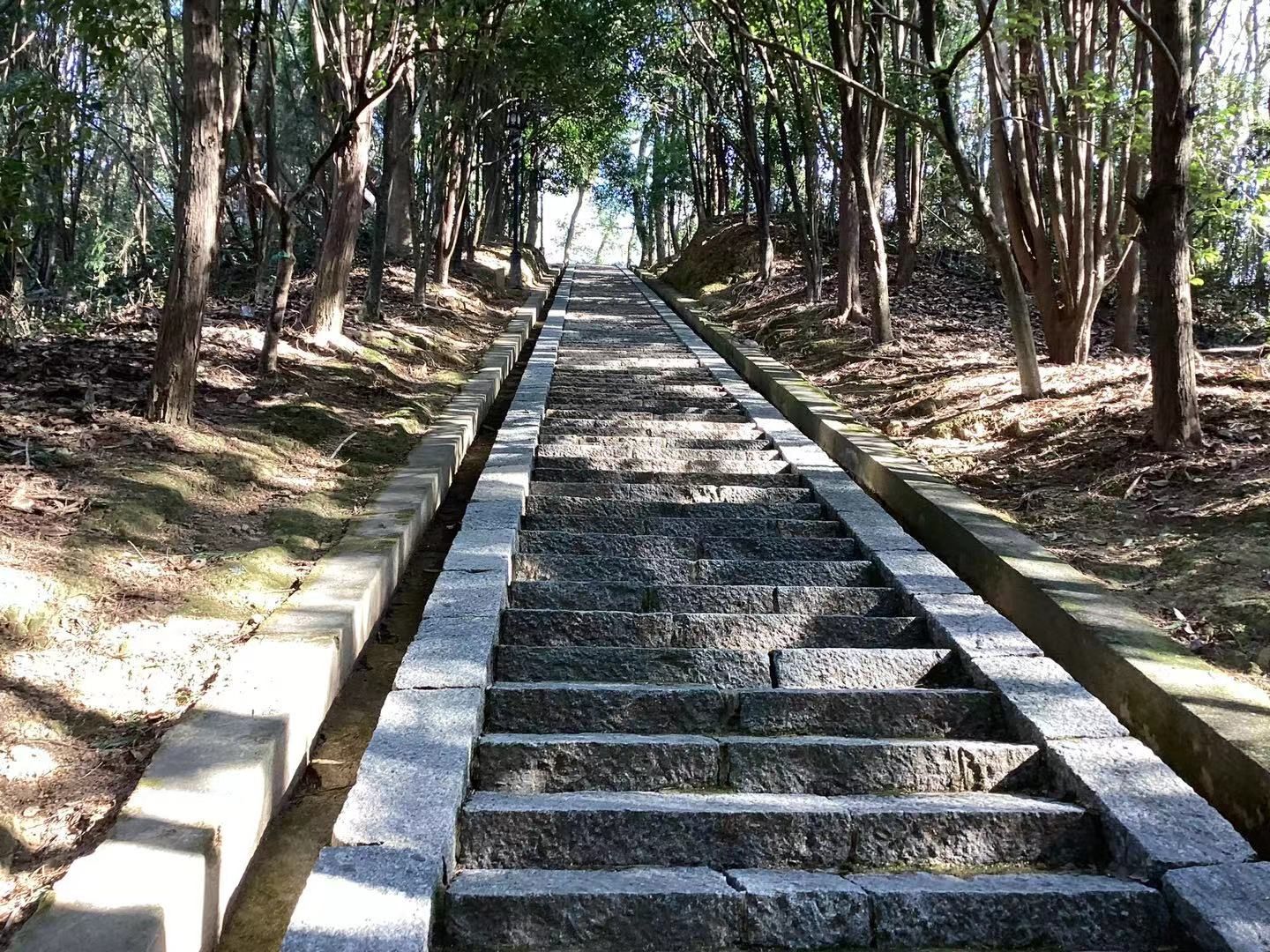 仙楼山森林公园旅行图片 3