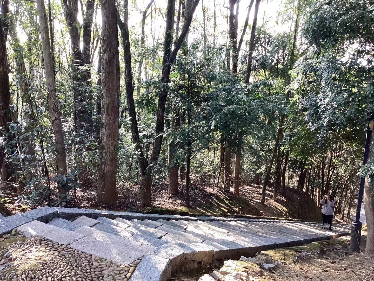 仙楼山森林公园旅行图片 1