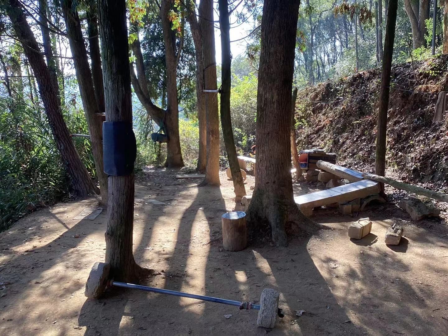 仙楼山森林公园旅行图片 2