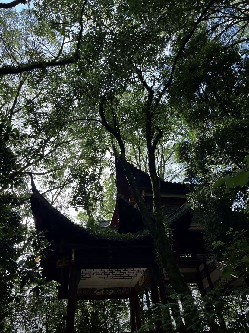 仙楼山森林公园旅行图片 3