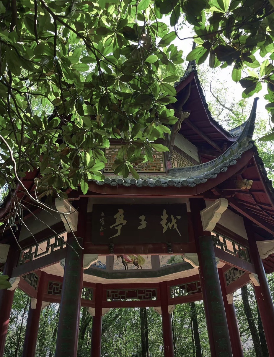 仙楼山森林公园旅行图片 1