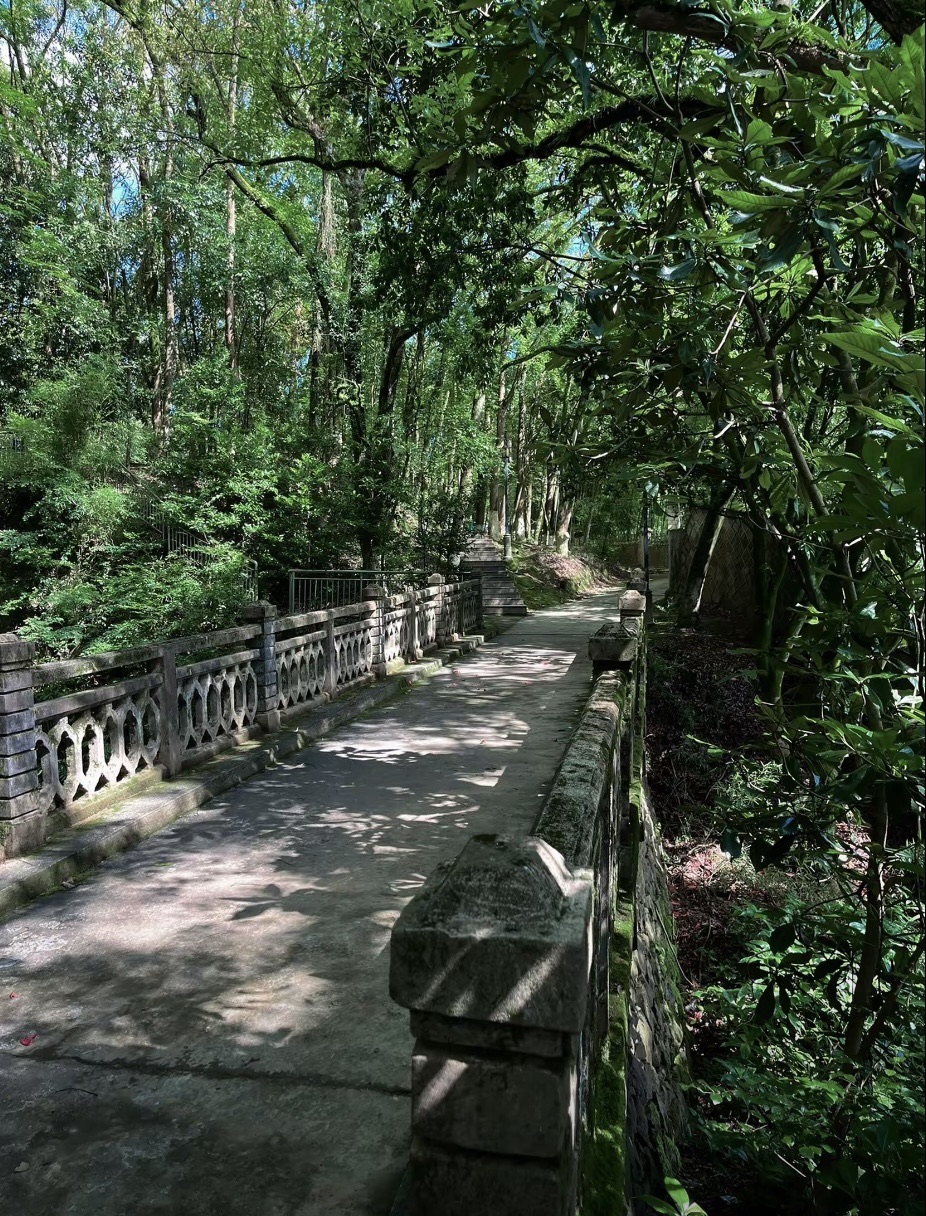仙楼山森林公园旅行图片 2