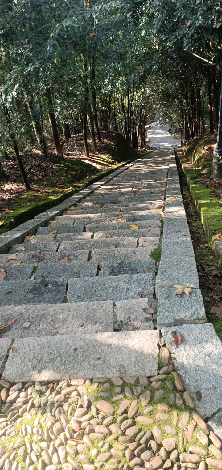 仙楼山森林公园