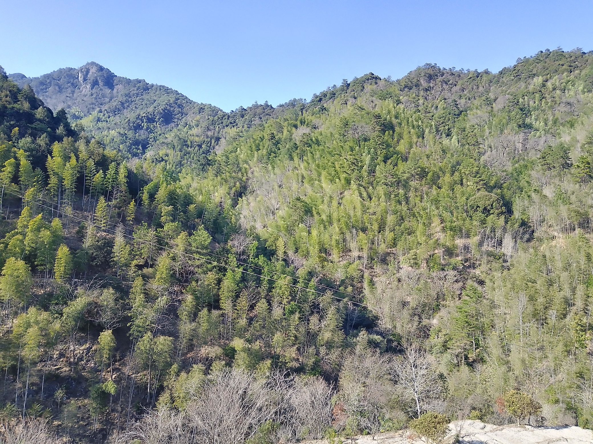 匡山景区旅行图片 1