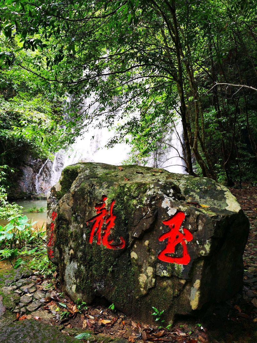 玉龙谷旅行图片 1