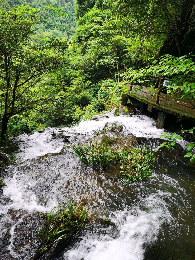 玉龙谷旅行图片 3