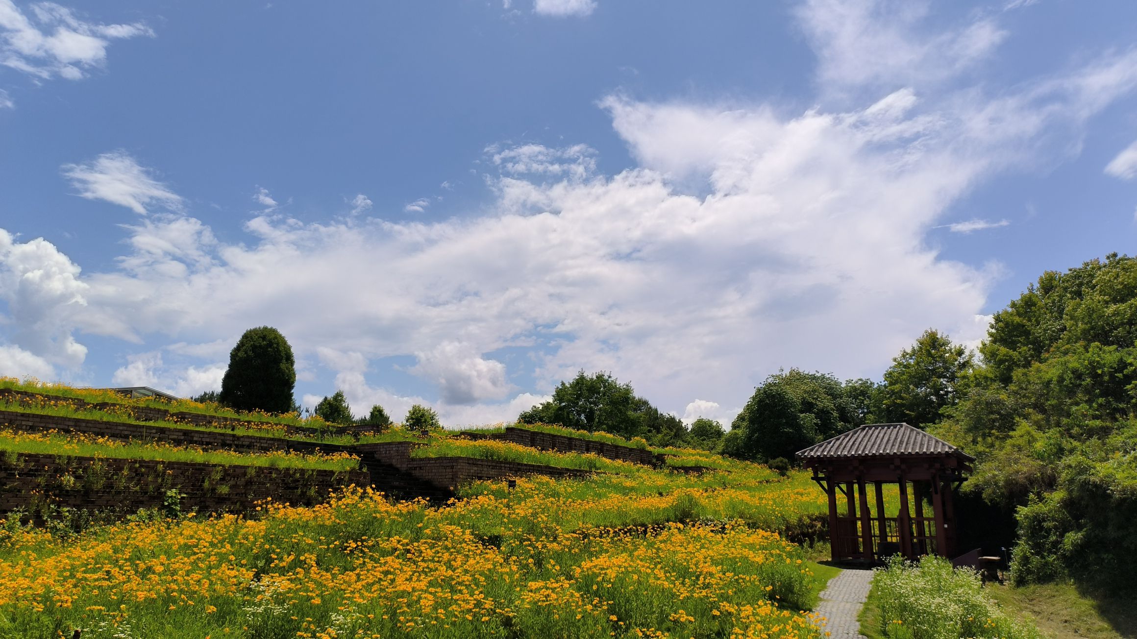 城村汉城遗址旅行图片 3