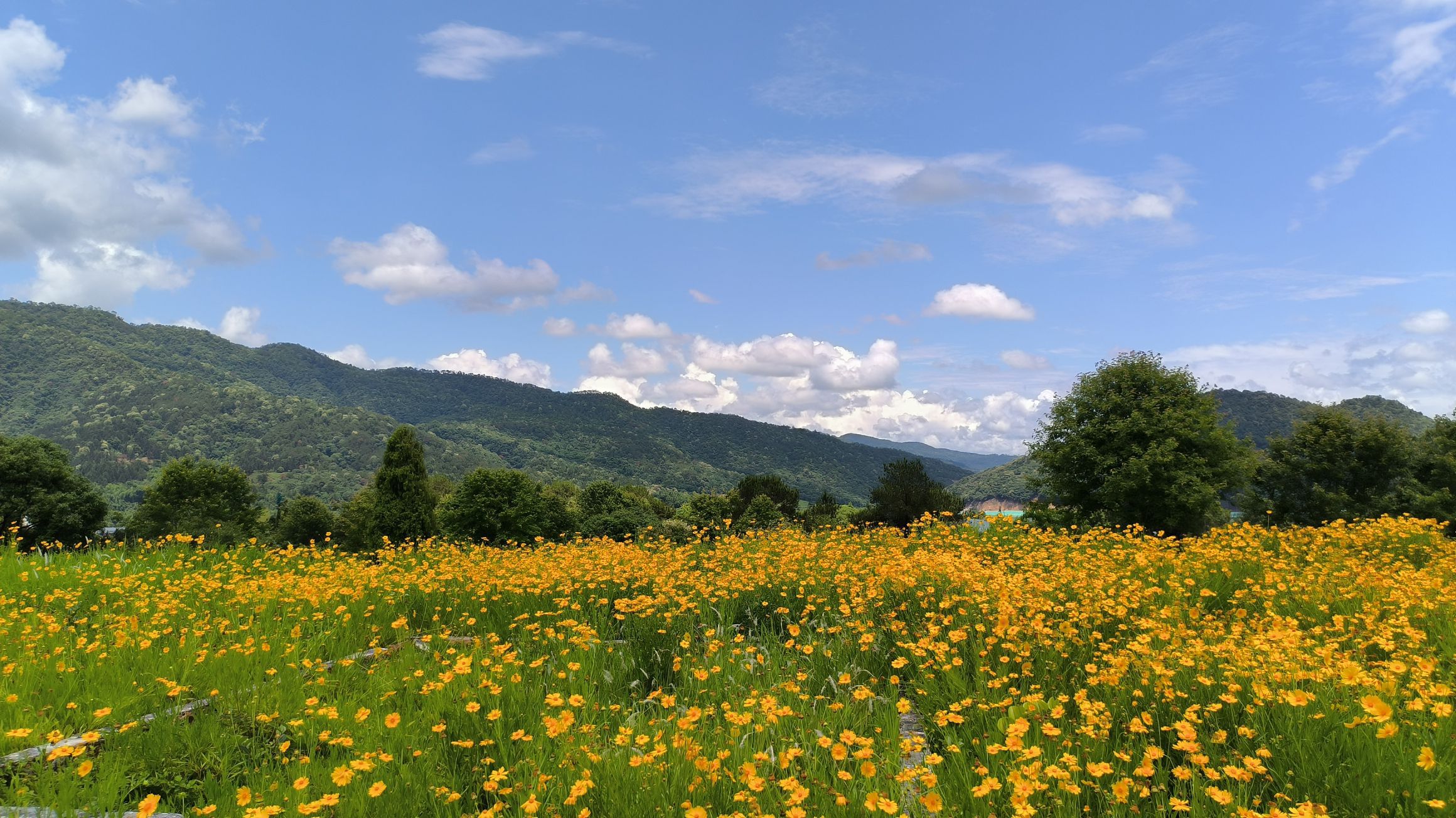 城村汉城遗址旅行图片 1