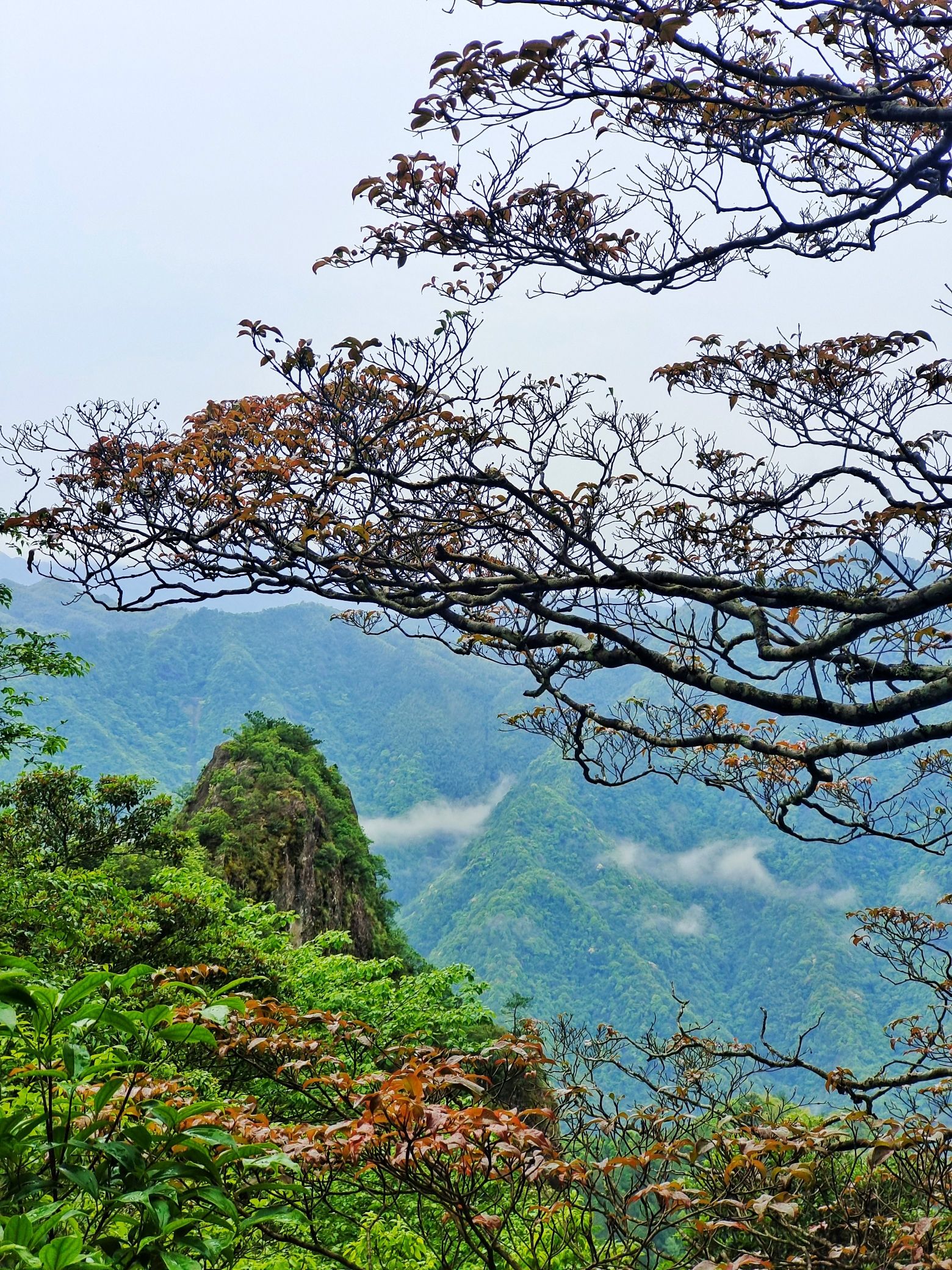 佛子山风景区旅行图片 3