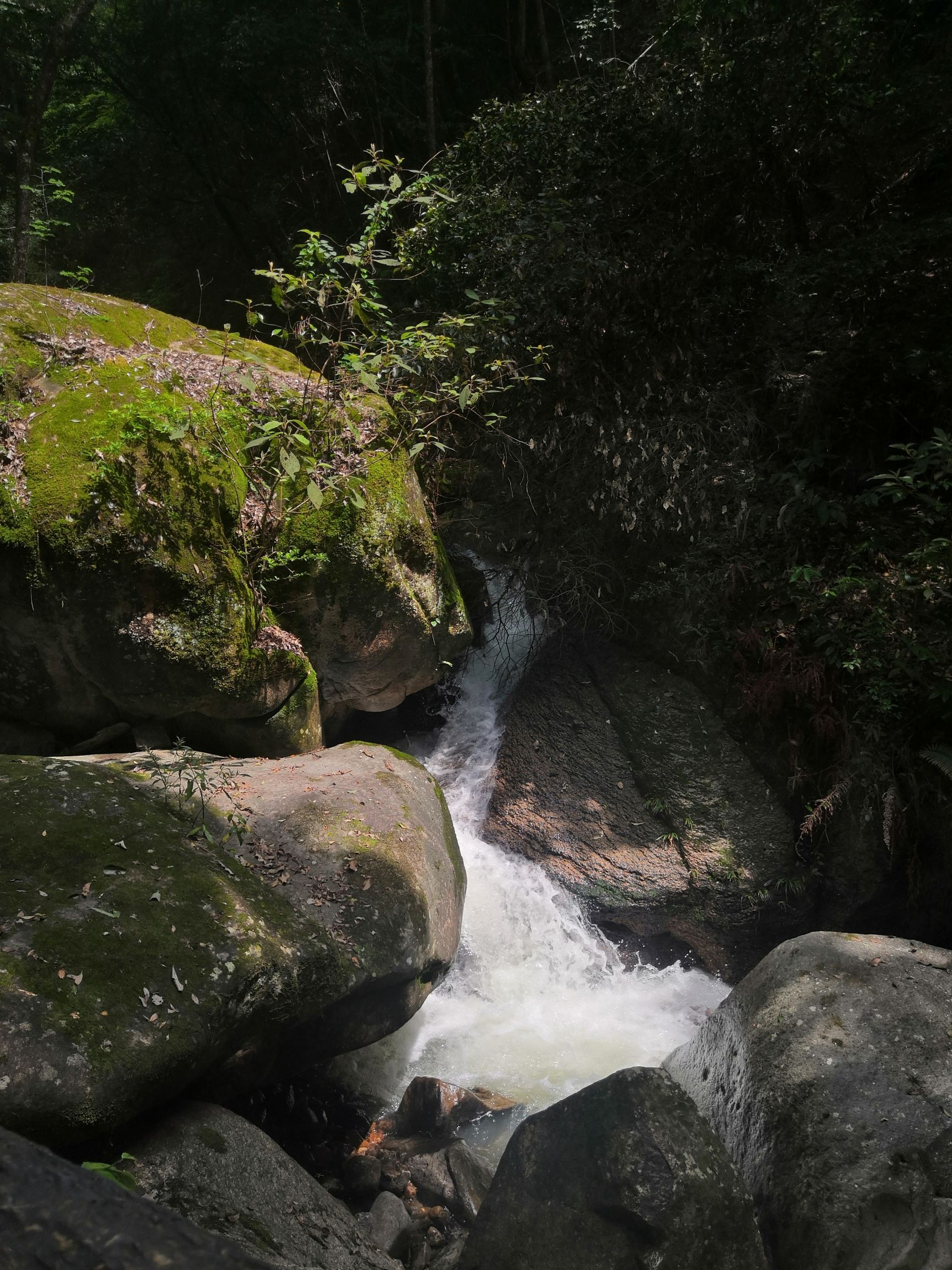 华阳山风景区旅行图片 2