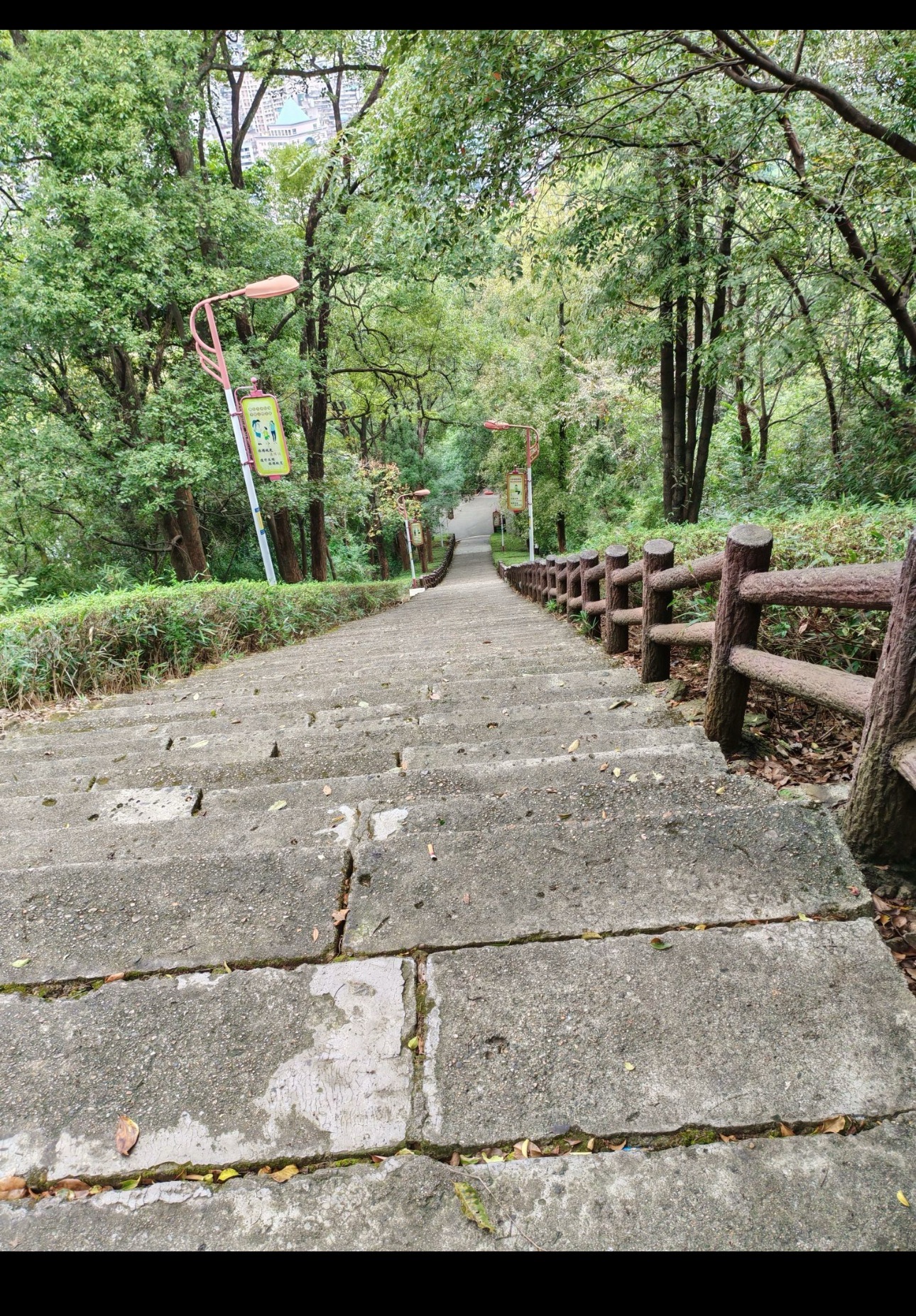九峰山公园旅行图片 3