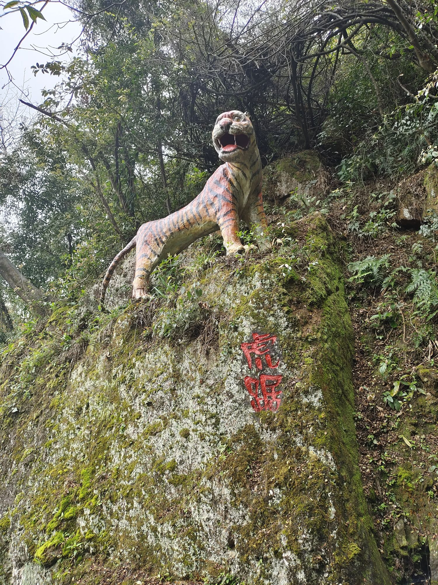 九峰山公园旅行图片 3