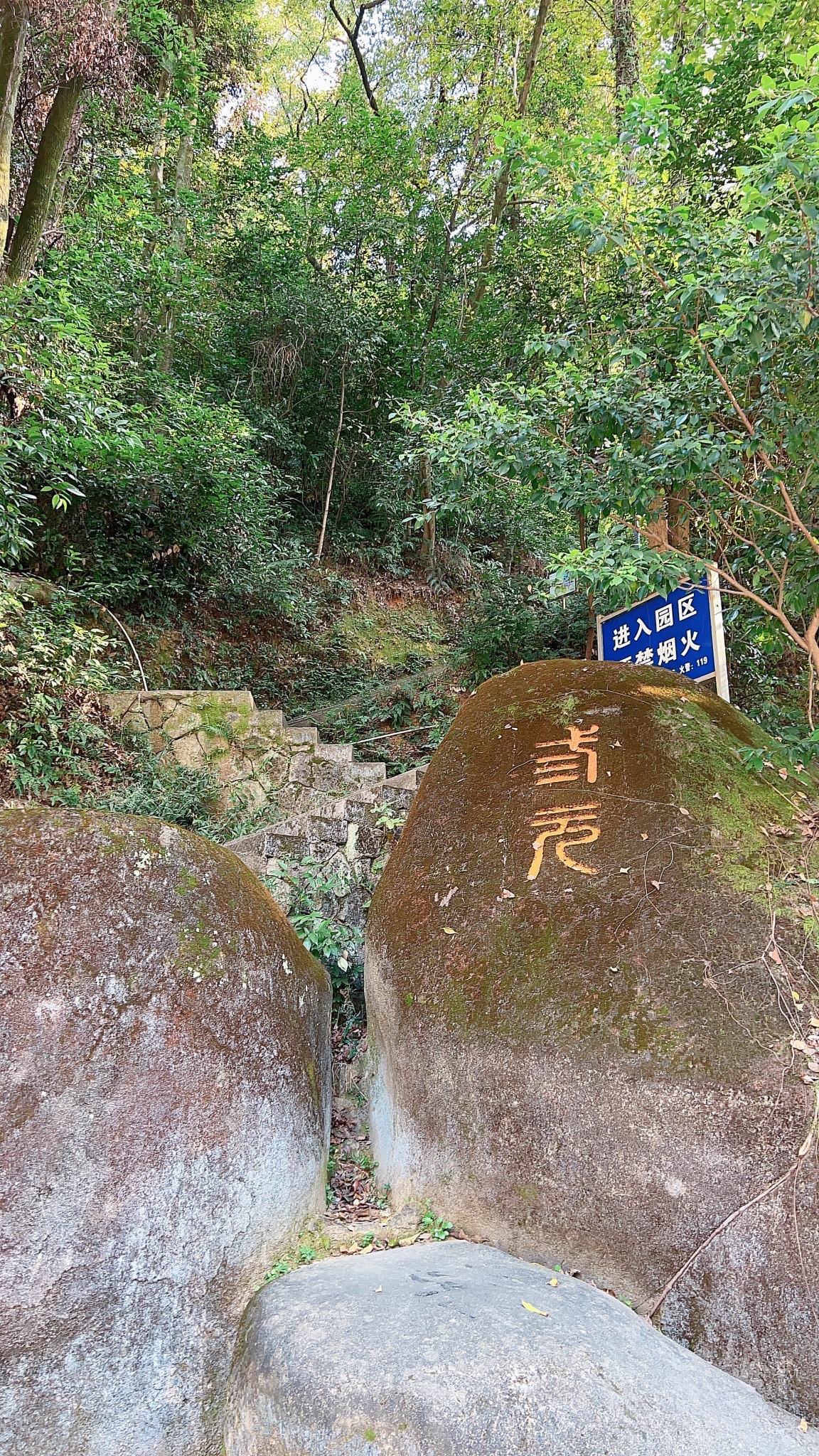 三元公园旅行图片 2