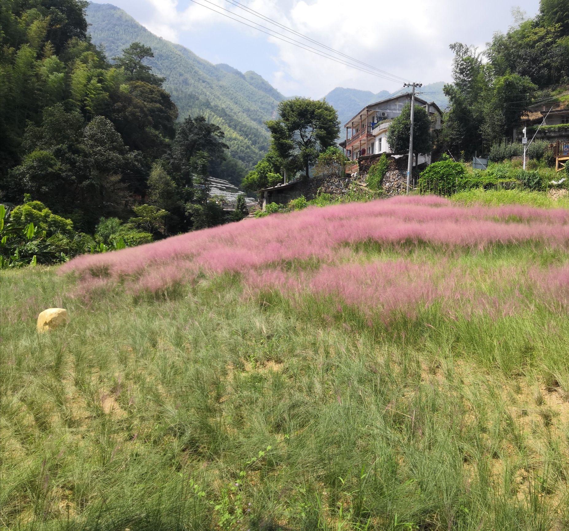 溪源大峡谷旅行图片 2