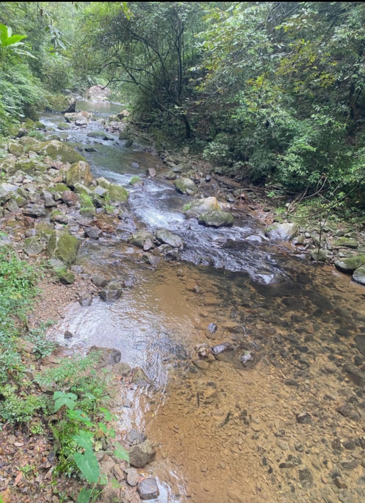 溪源大峡谷旅行图片 1