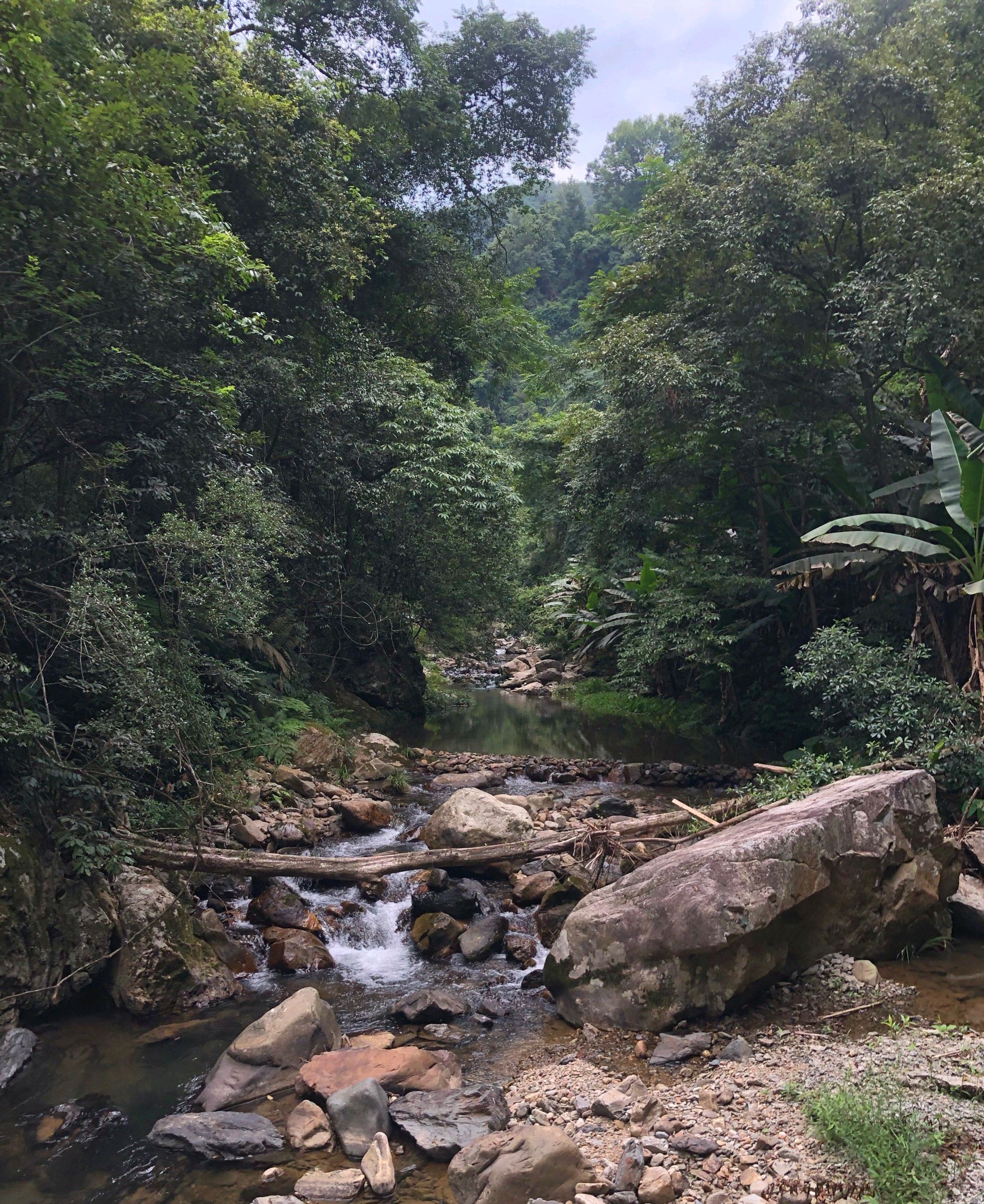 溪源大峡谷旅行图片 2