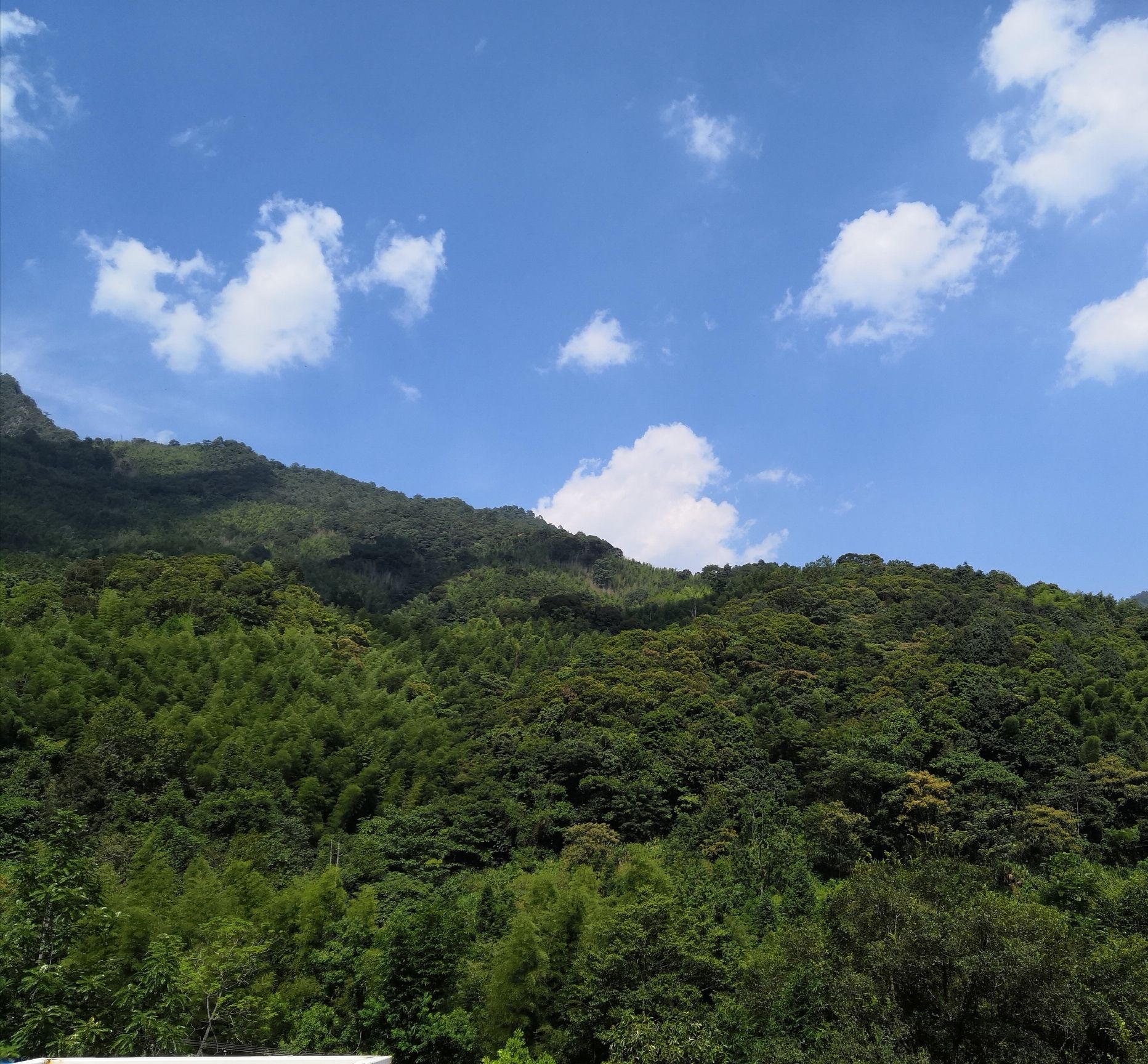 溪源大峡谷旅行图片 1