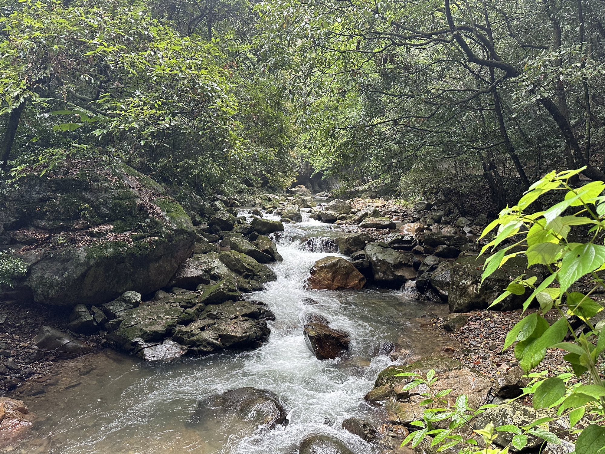 溪源大峡谷旅行图片 3