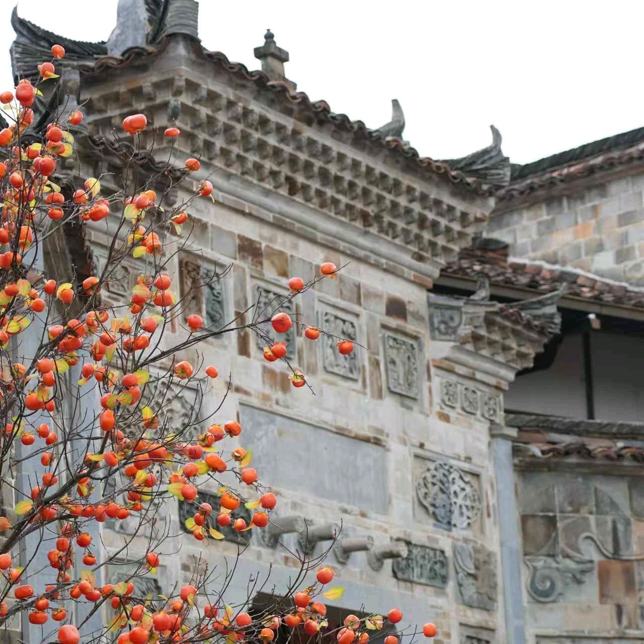 和平古镇旅行图片 1