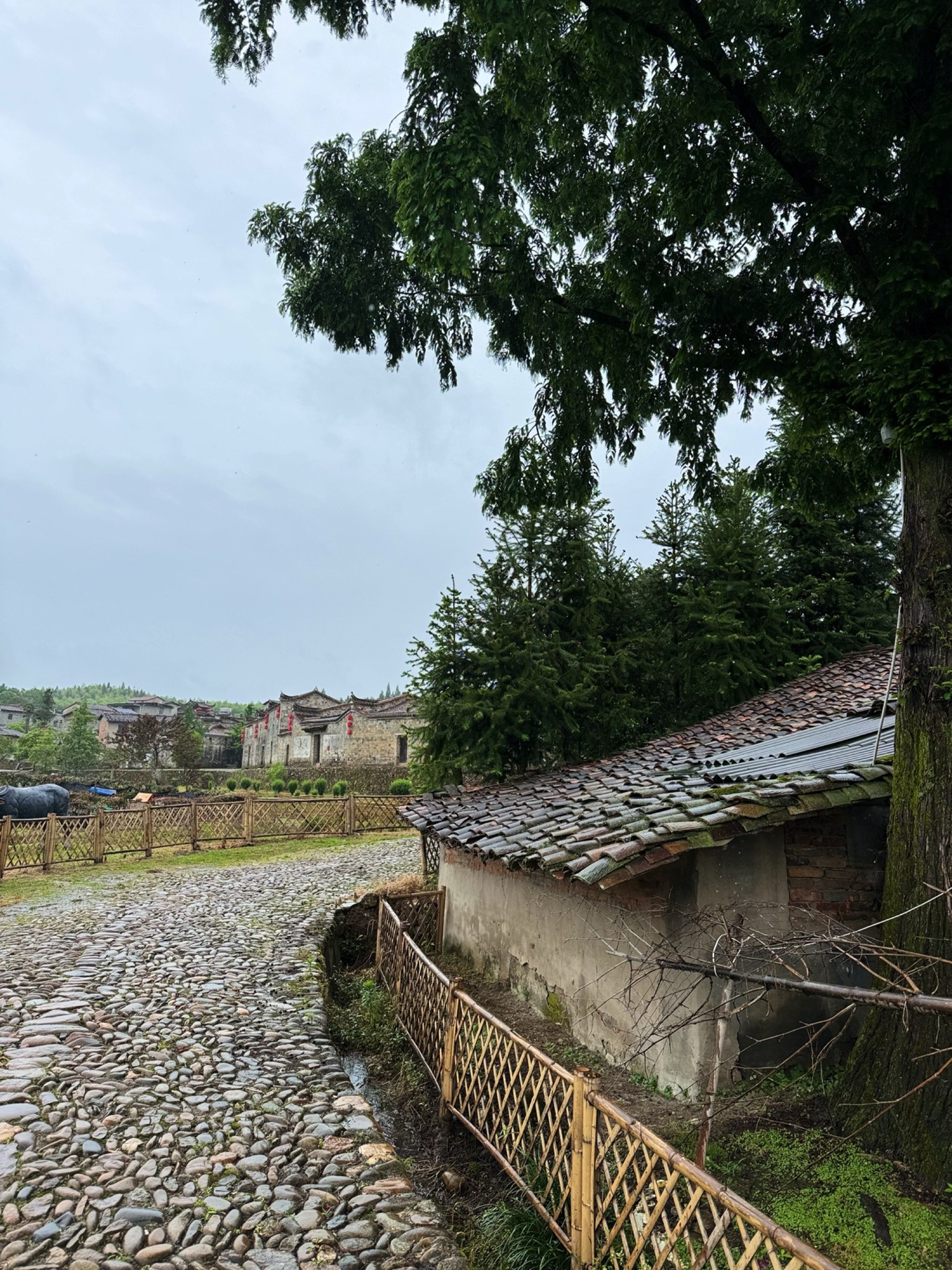 和平古镇旅行图片 1
