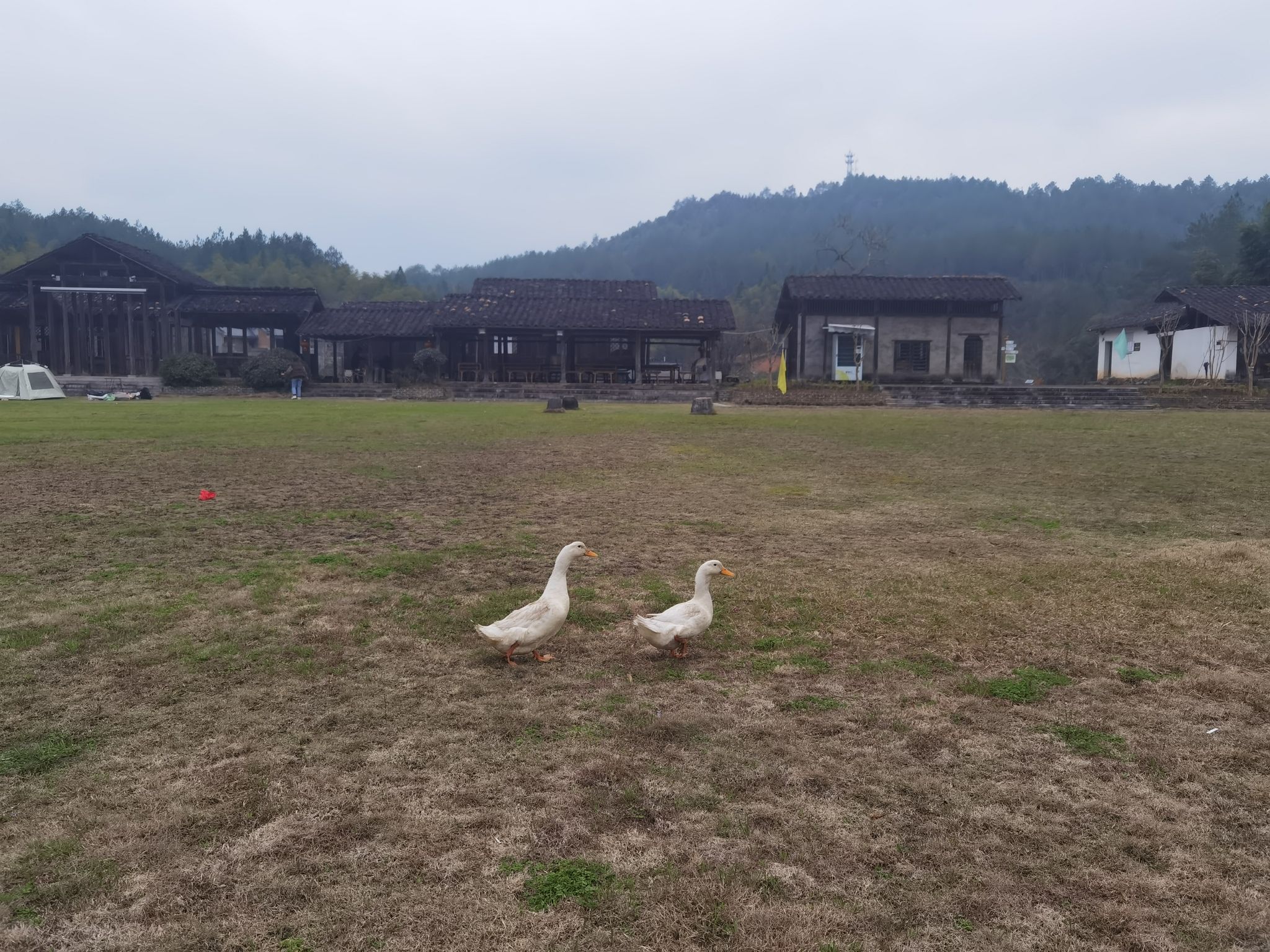 天成奇峡旅行图片 2
