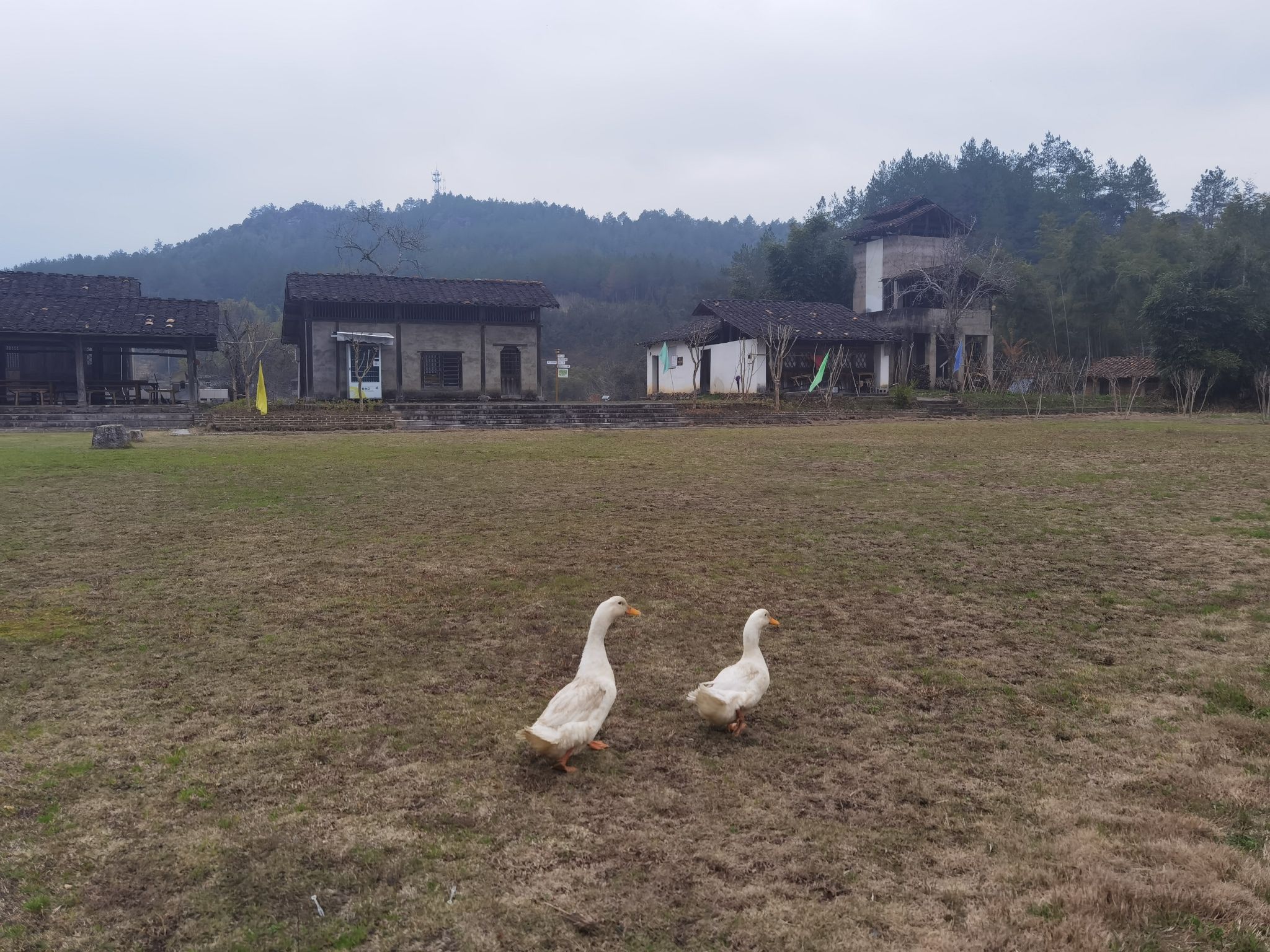 天成奇峡旅行图片 1