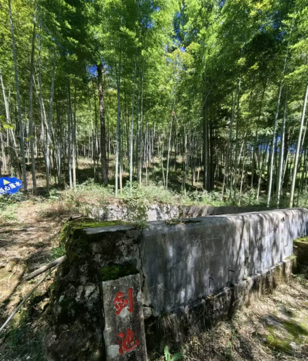 湛卢山省级风景名胜区旅行图片 3