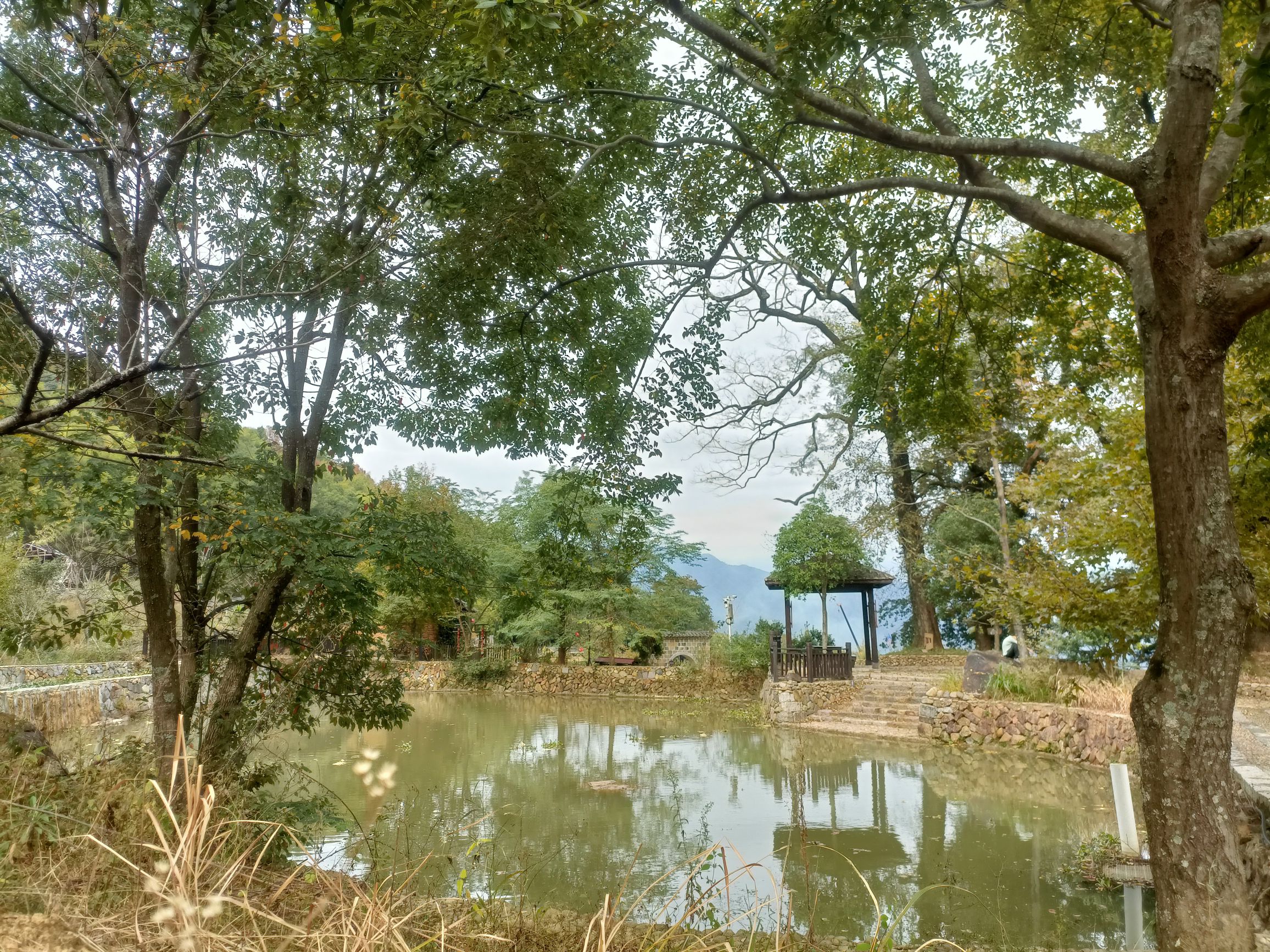 湛卢山省级风景名胜区旅行图片 2