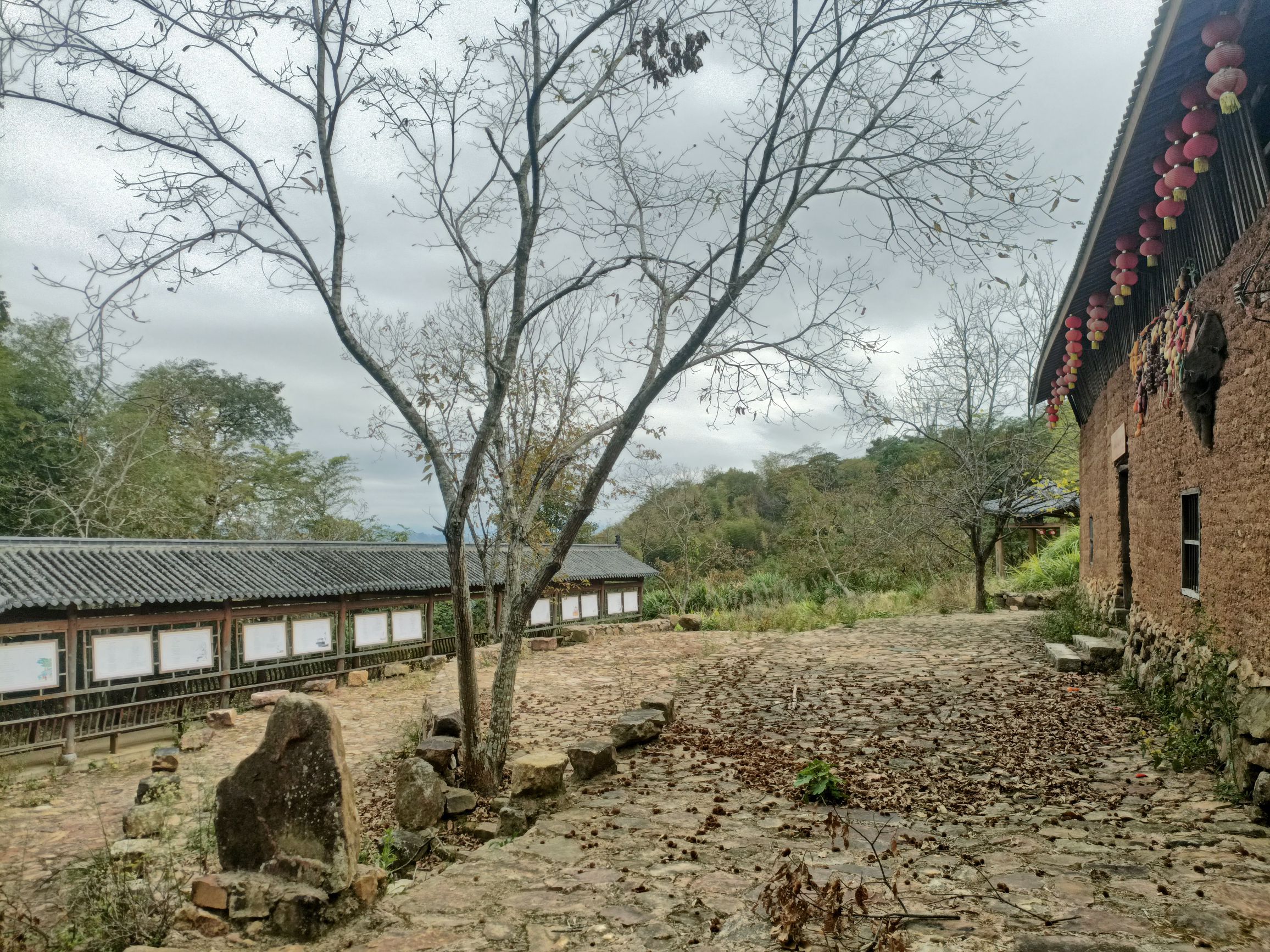 湛卢山省级风景名胜区旅行图片 1
