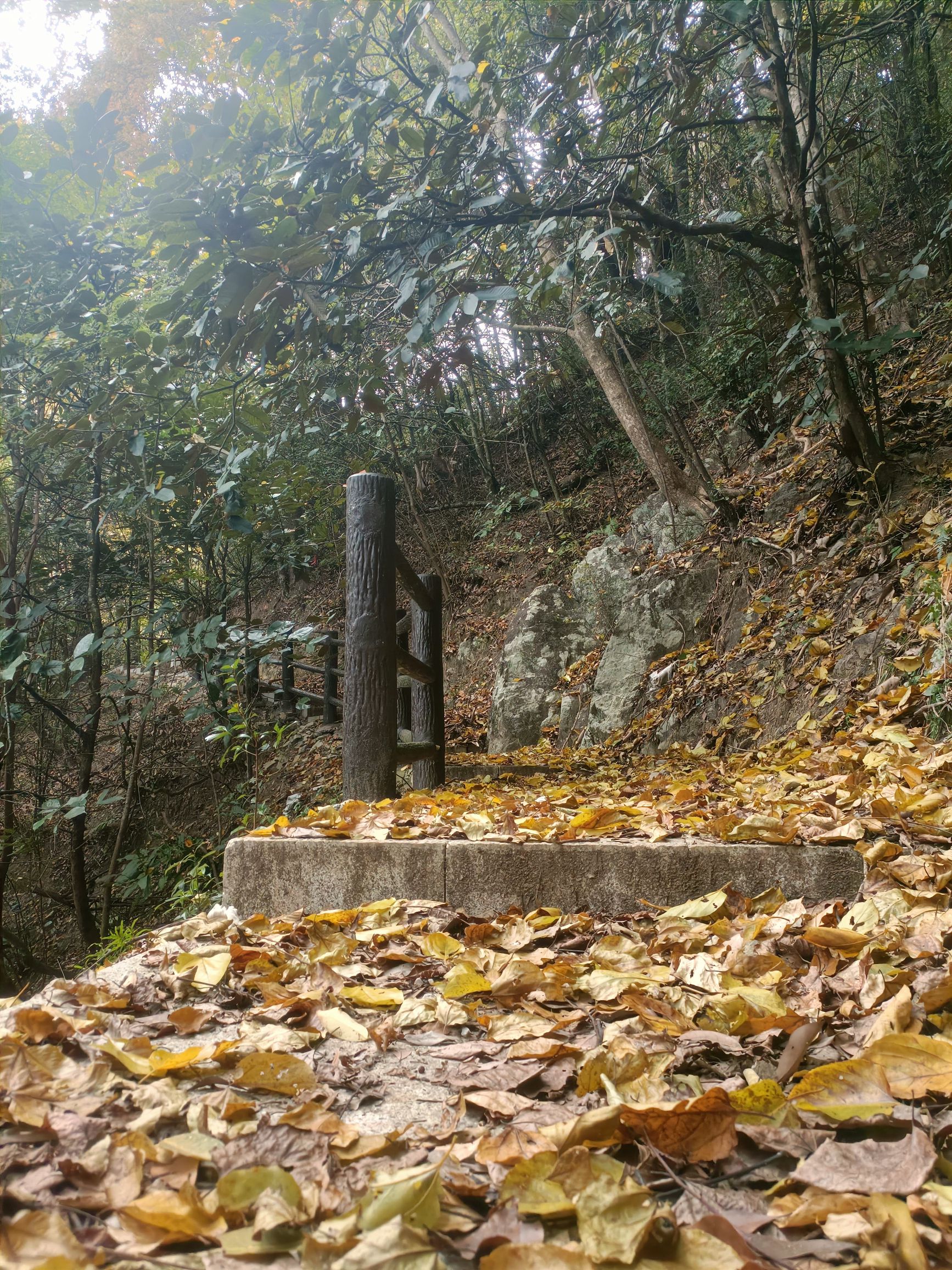 湛卢山省级风景名胜区旅行图片 3