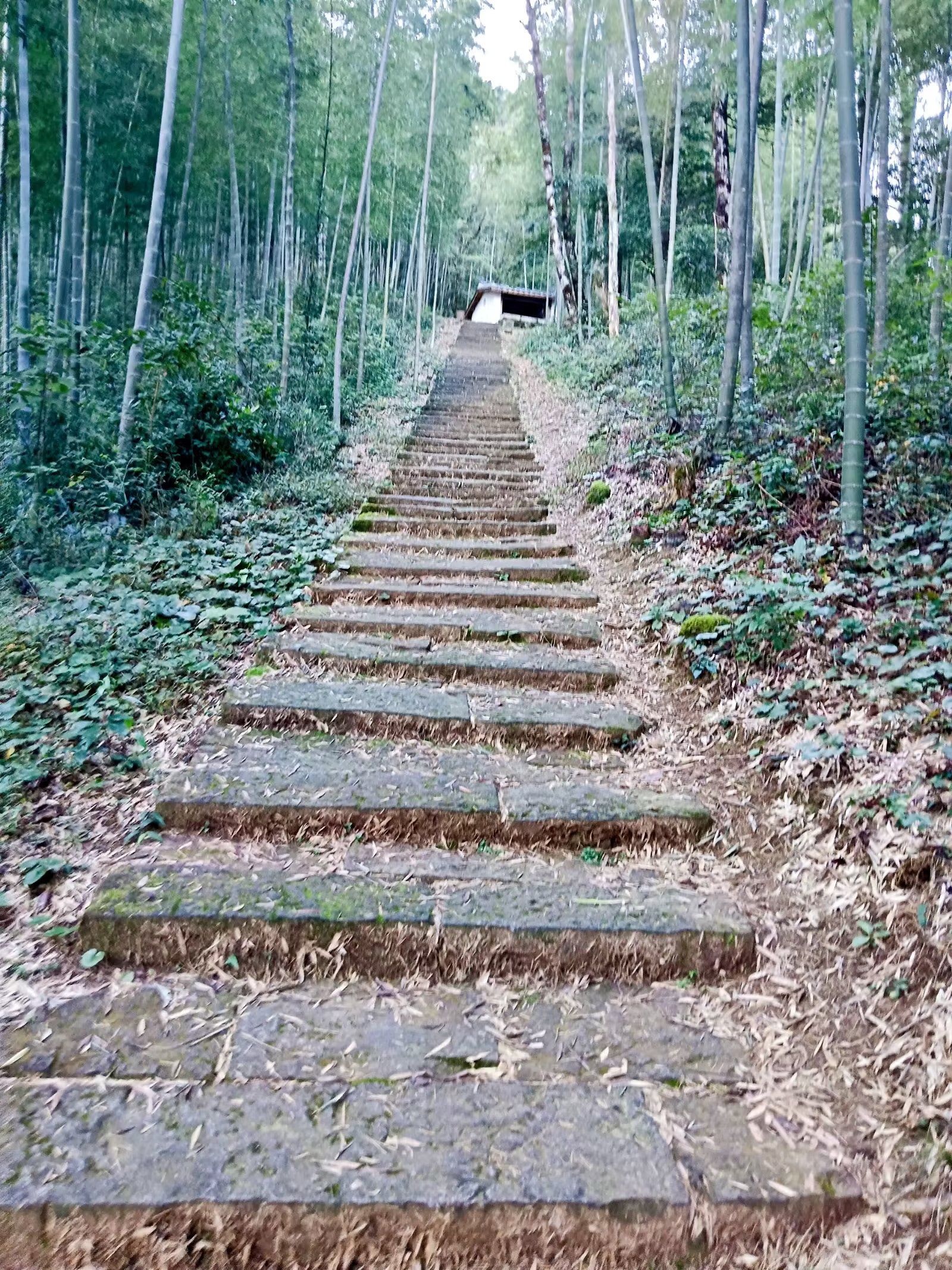 宝山风景名胜区旅行图片 1