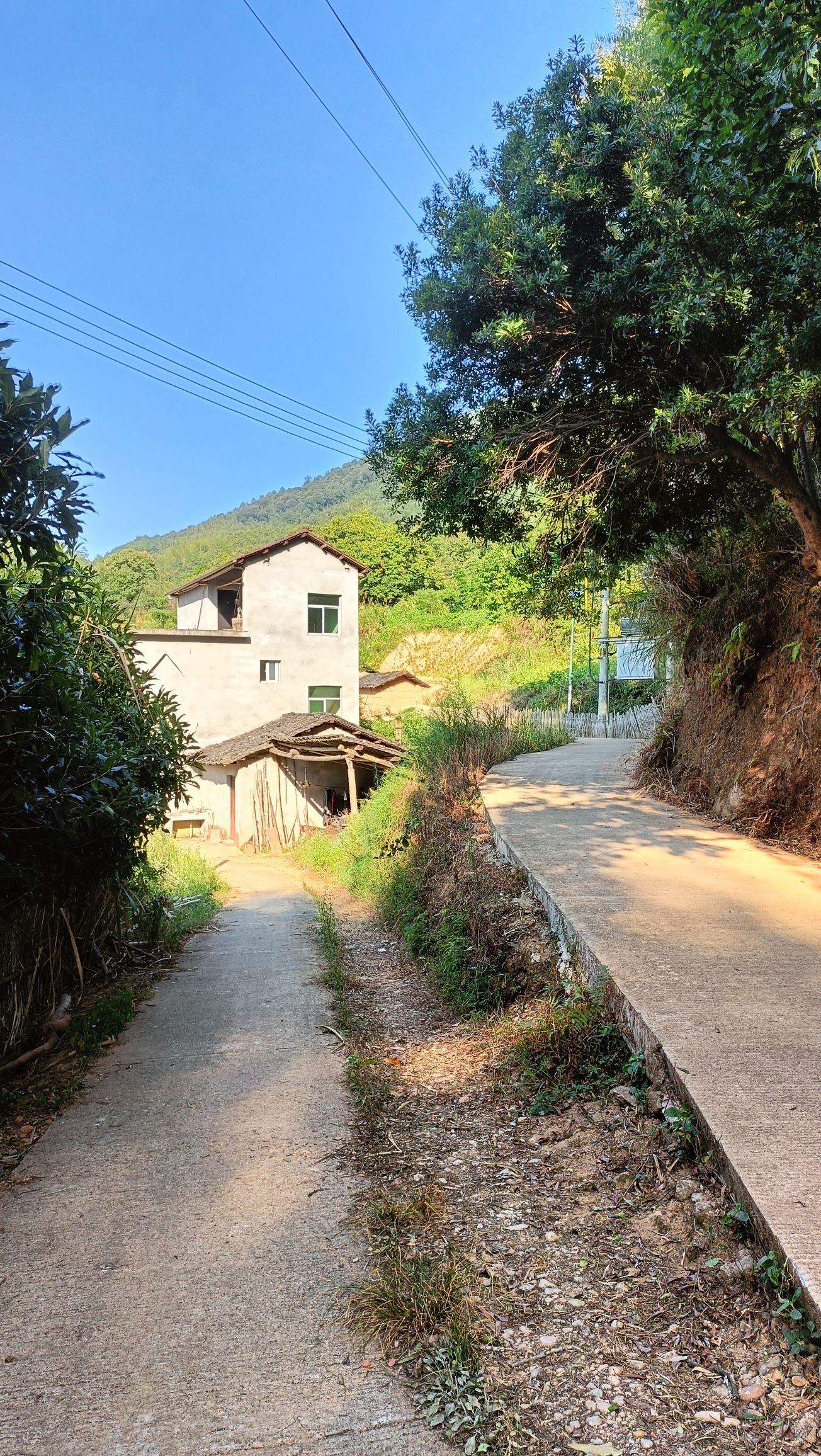 松溪白马山省级自然保护区旅行图片 2