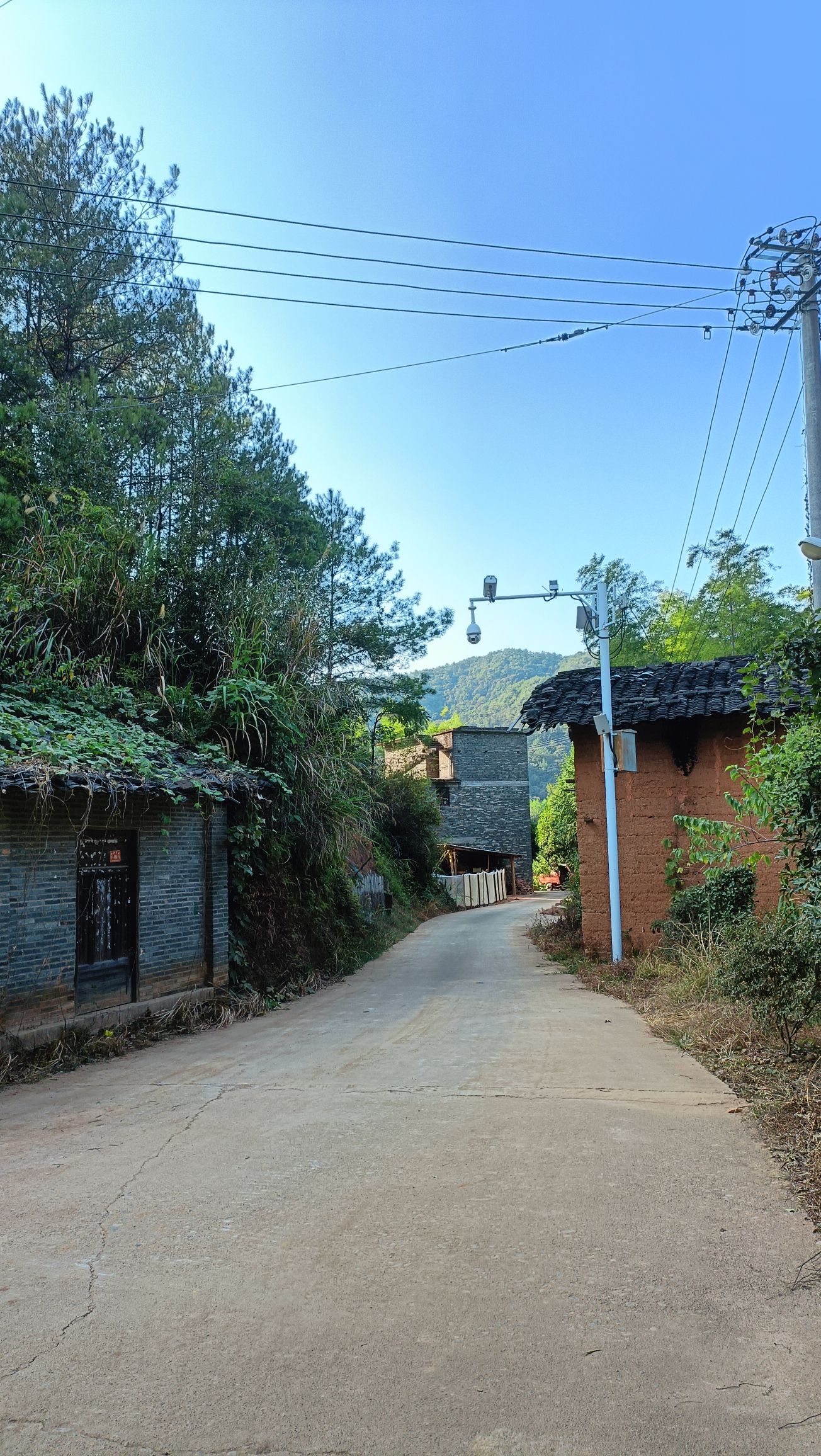 松溪白马山省级自然保护区旅行图片 3