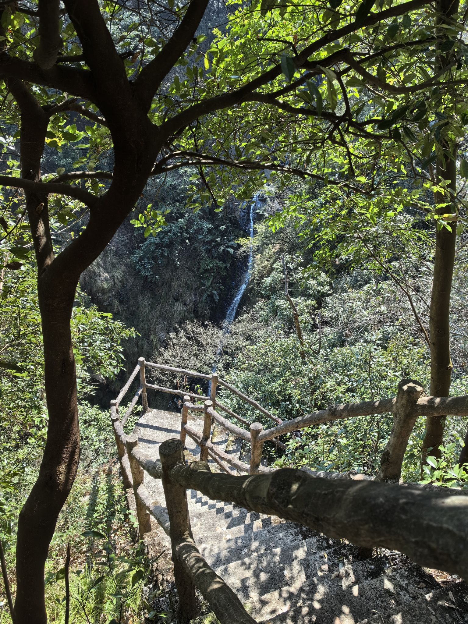 茫荡山三千八百坎景区旅行图片 3