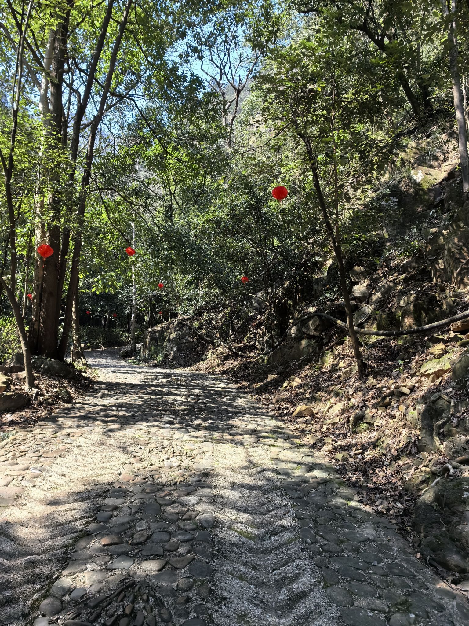茫荡山三千八百坎景区旅行图片 1