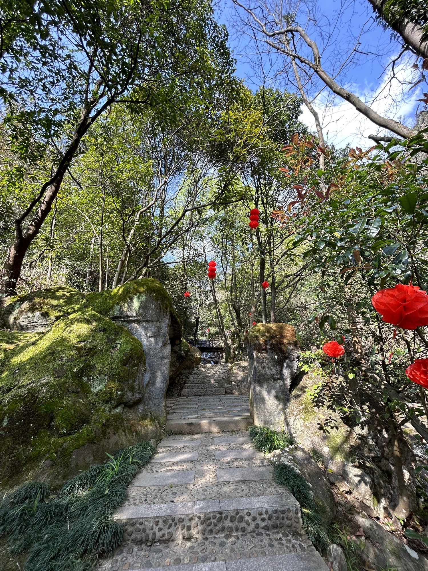 茫荡山三千八百坎景区旅行图片 1