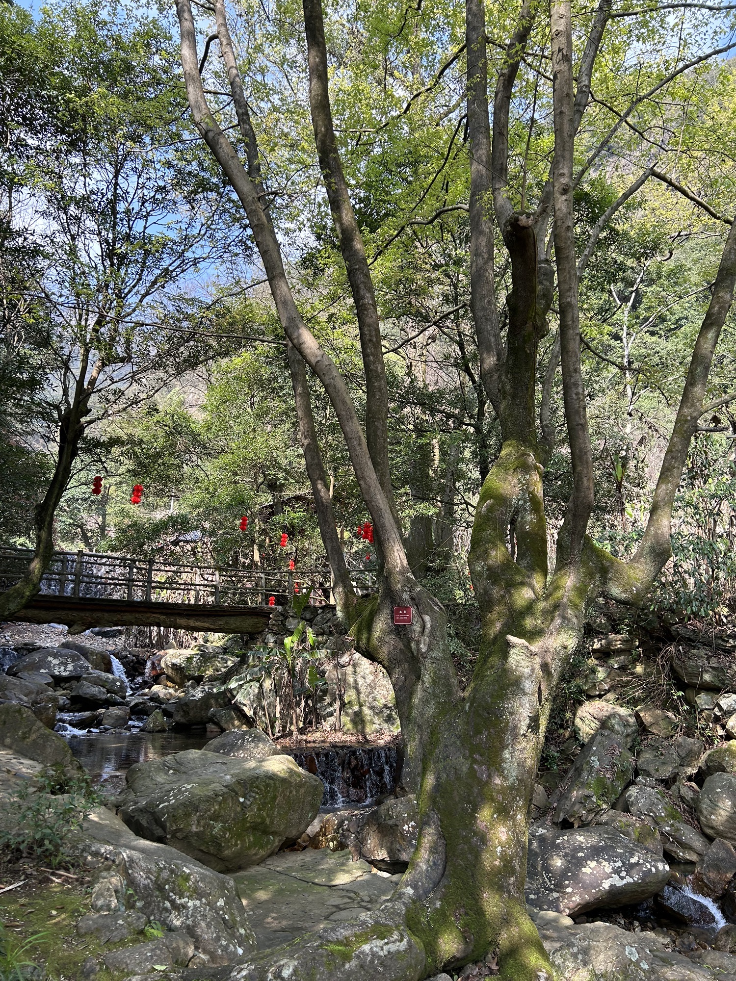 茫荡山三千八百坎景区旅行图片 2