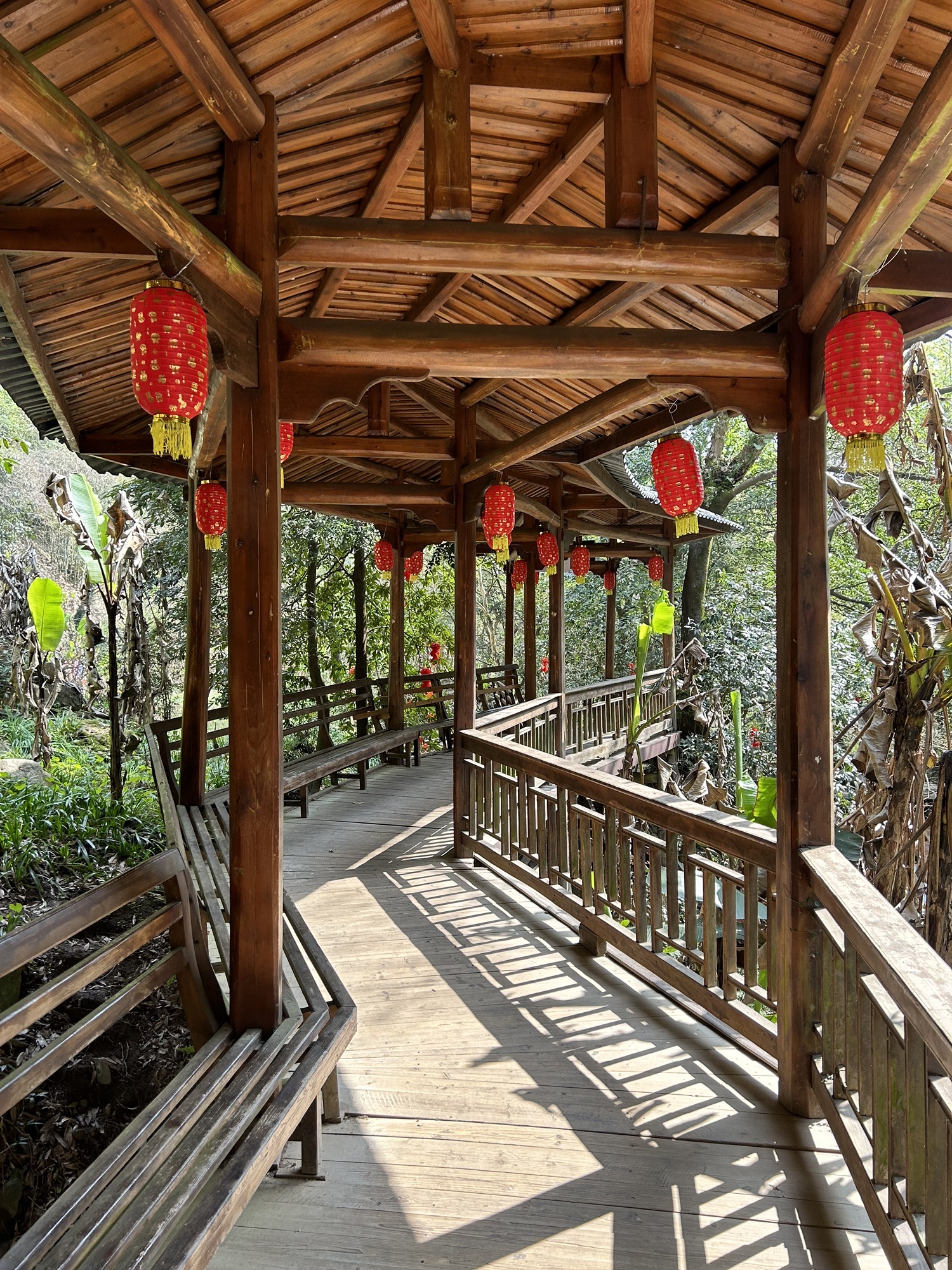 茫荡山三千八百坎景区旅行图片 1