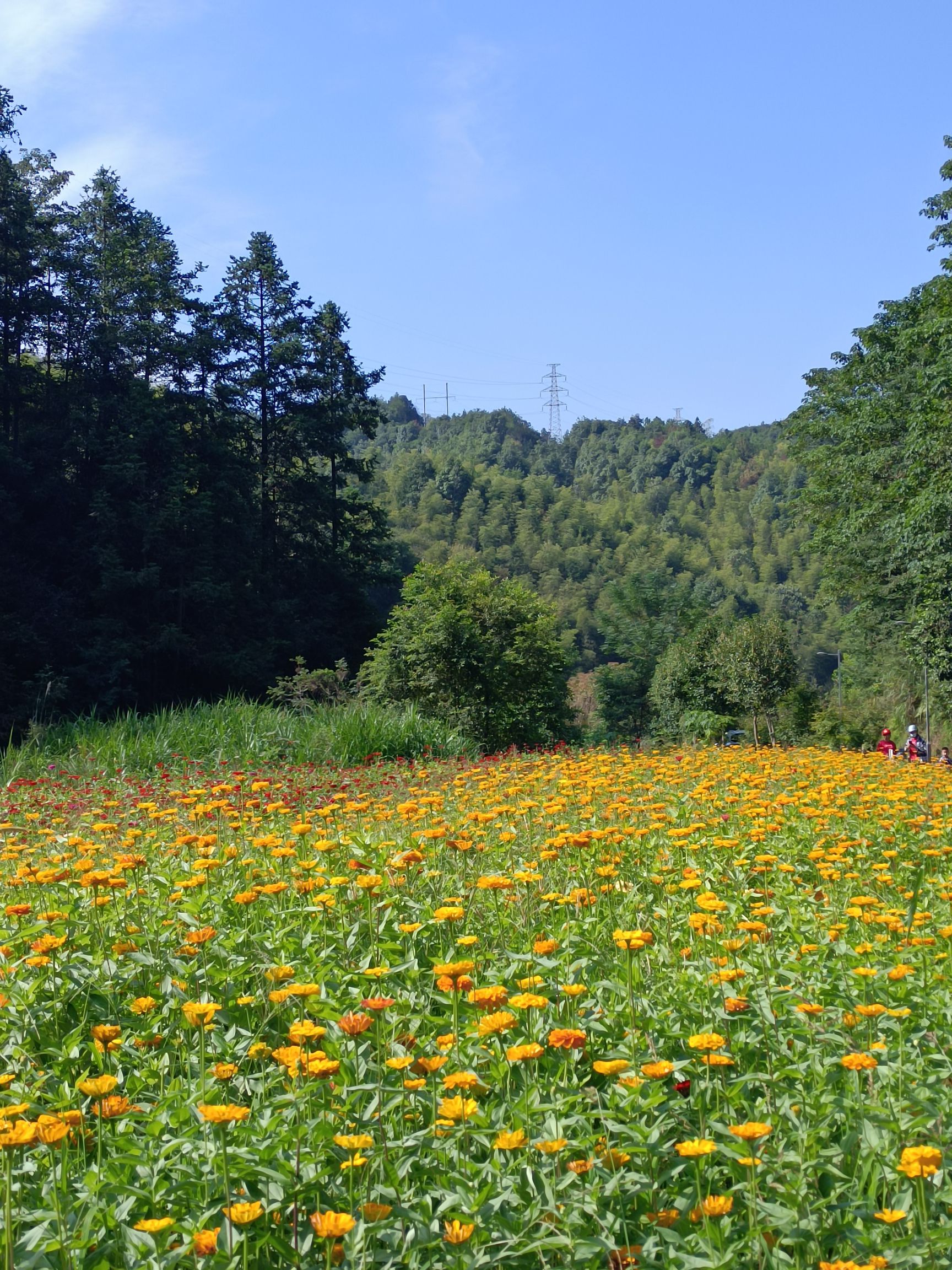 福山森林公园