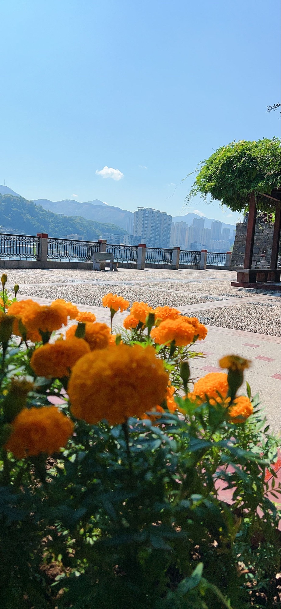 江滨公园旅行图片 1