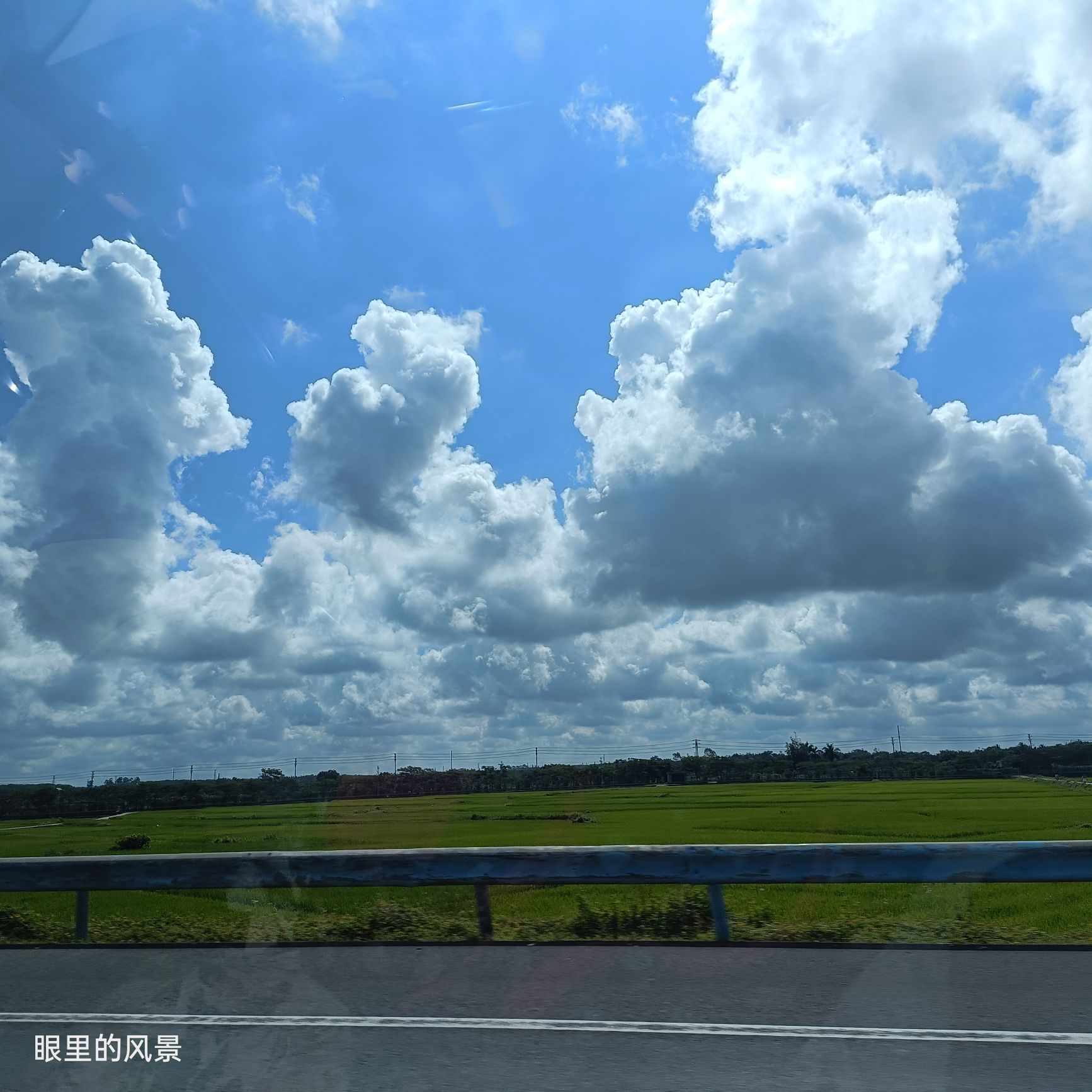 武夷蛇博园旅行图片 1