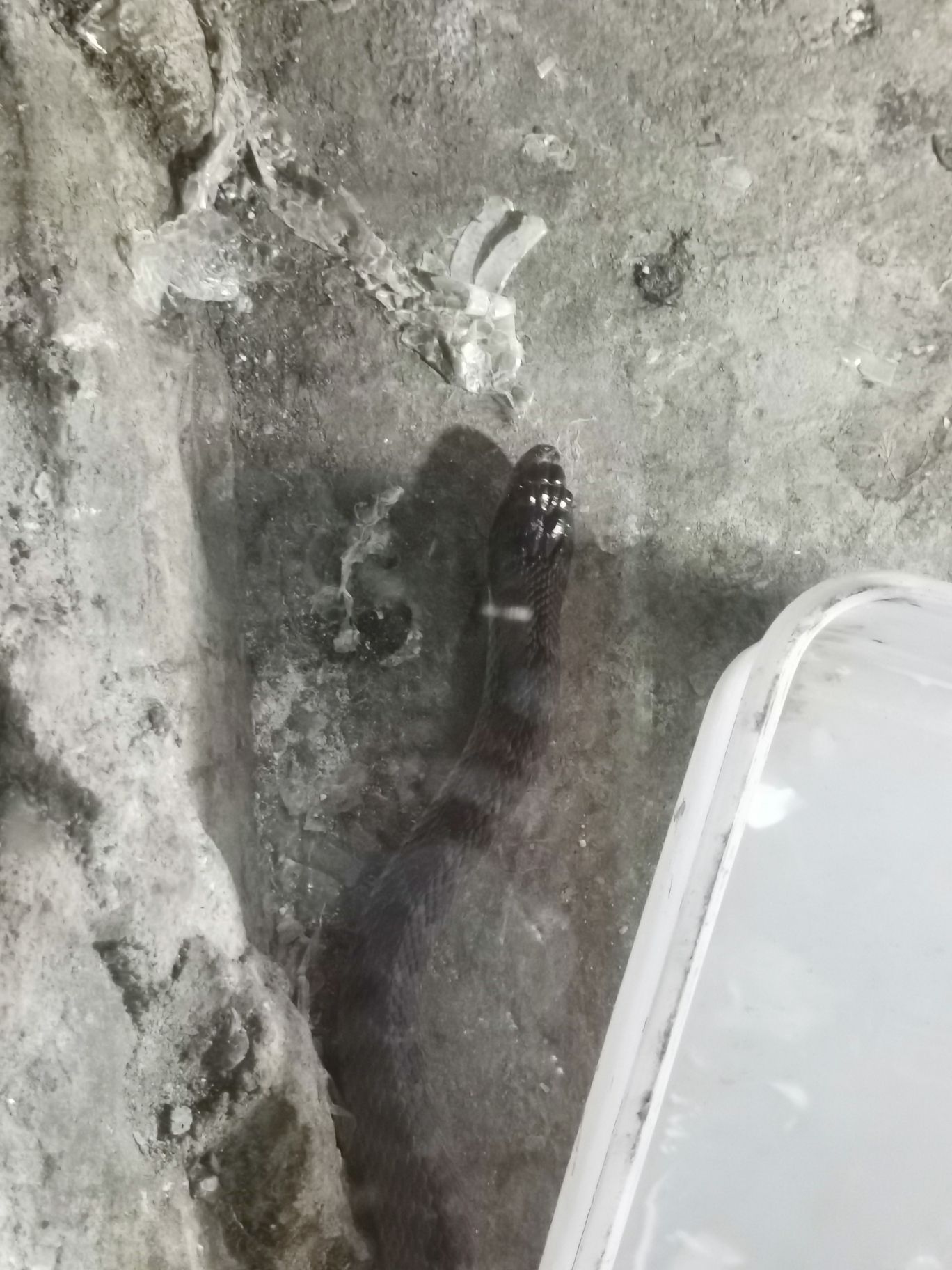 武夷蛇博园旅行图片 2
