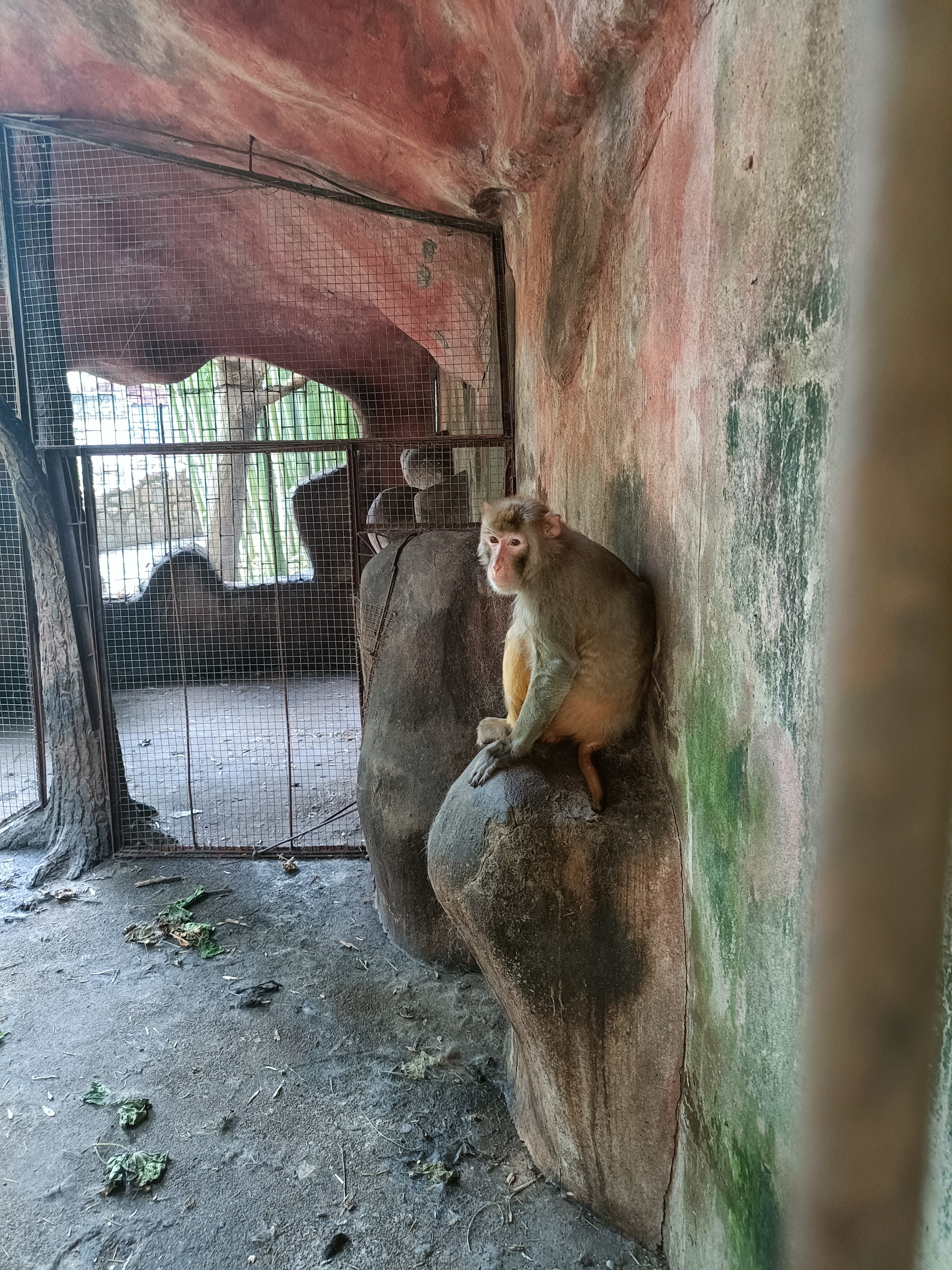 武夷蛇博园旅行图片 1