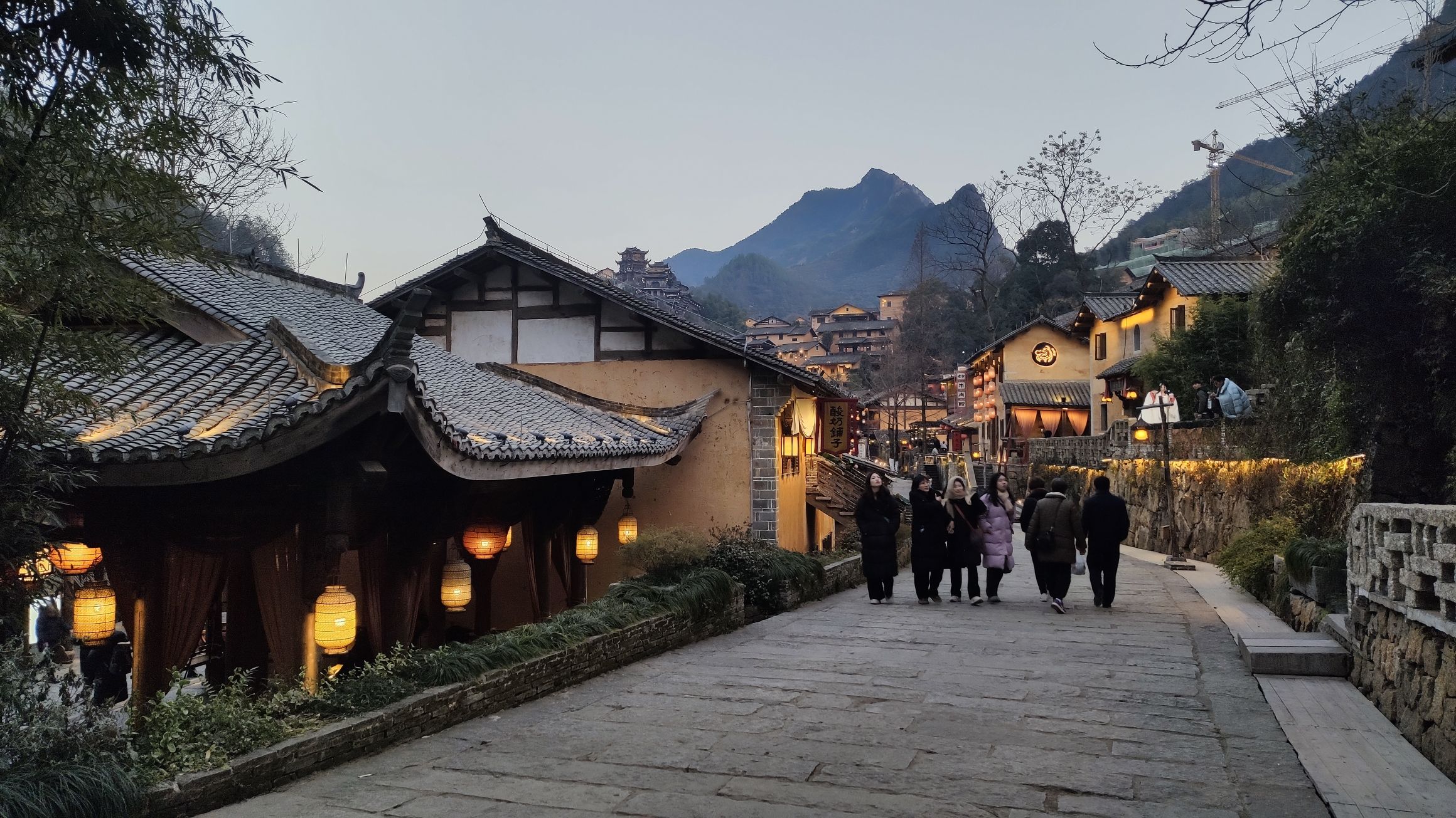 武夷蛇博园旅行图片 2
