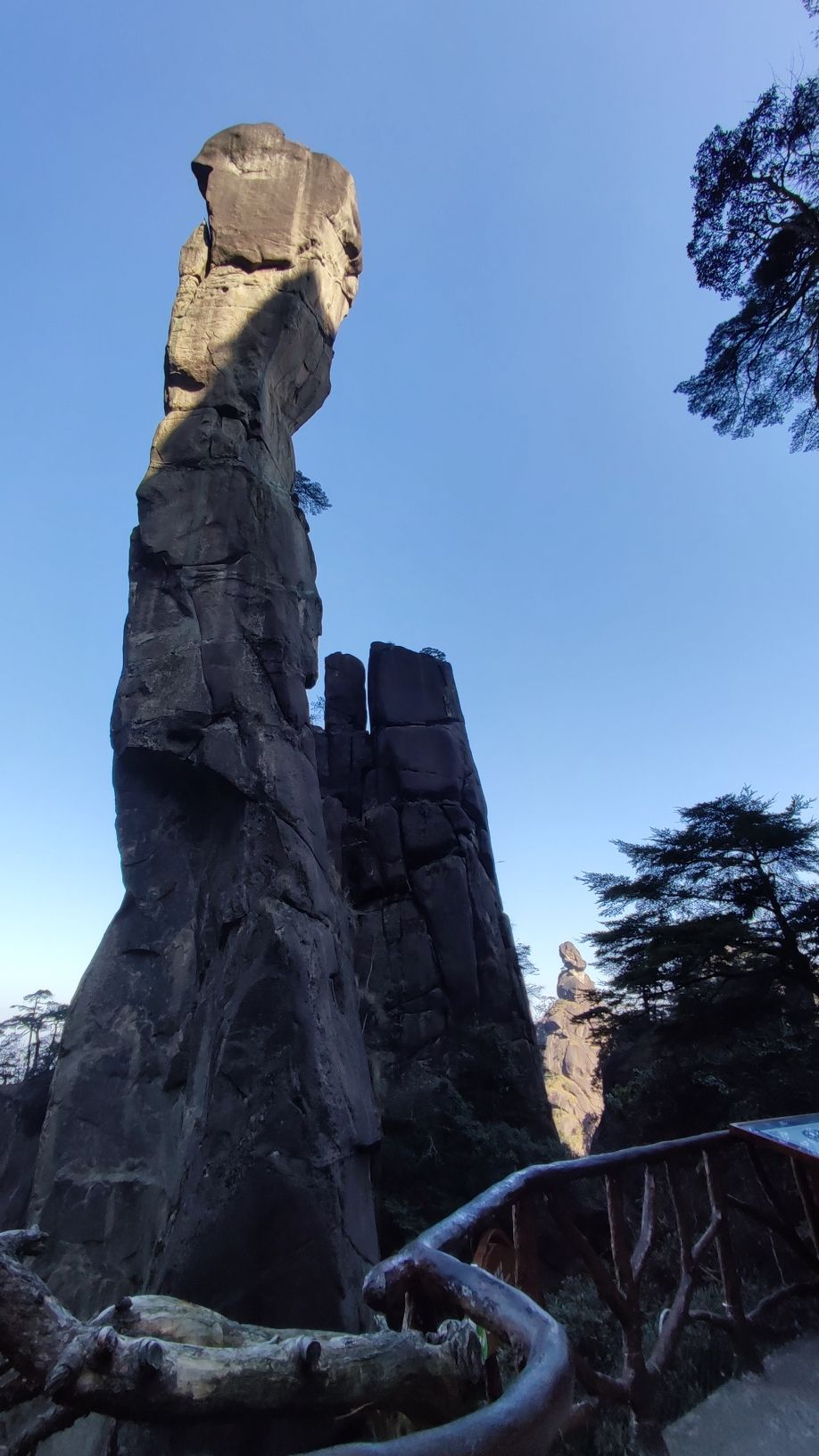 武夷蛇博园旅行图片 1