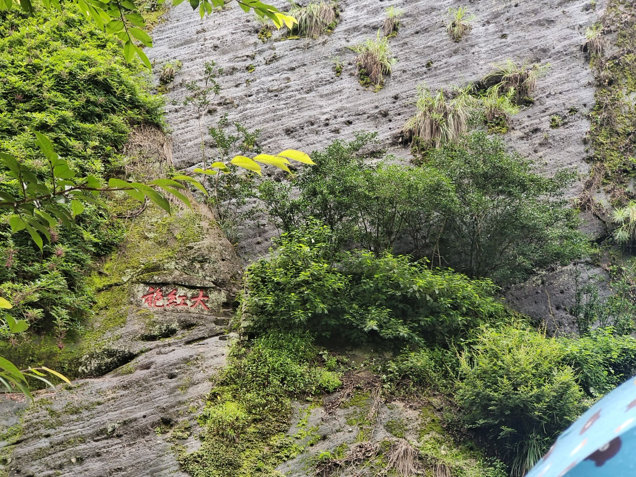 武夷山风景名胜区旅行图片 1