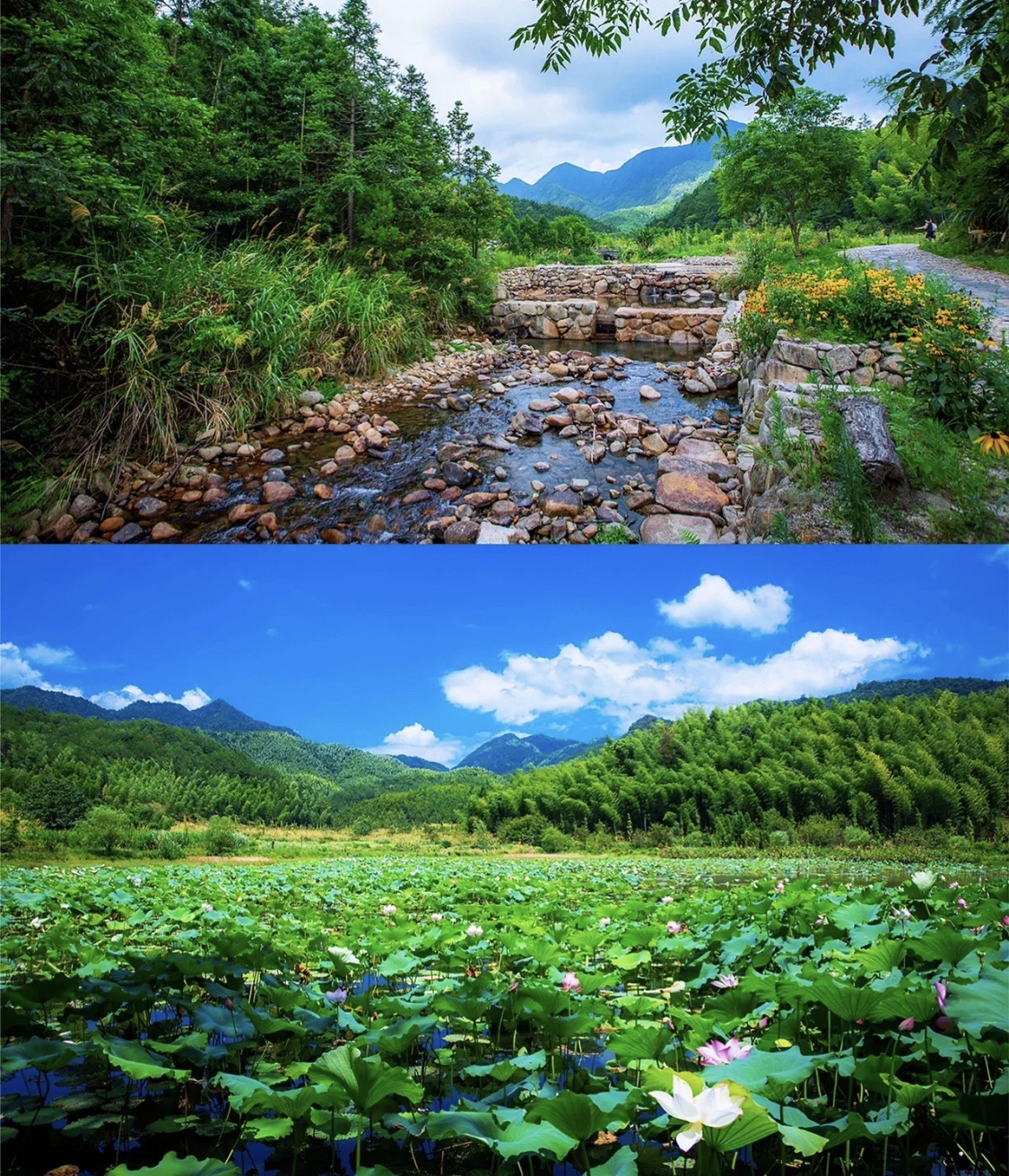 云灵山旅游景区旅行图片 3